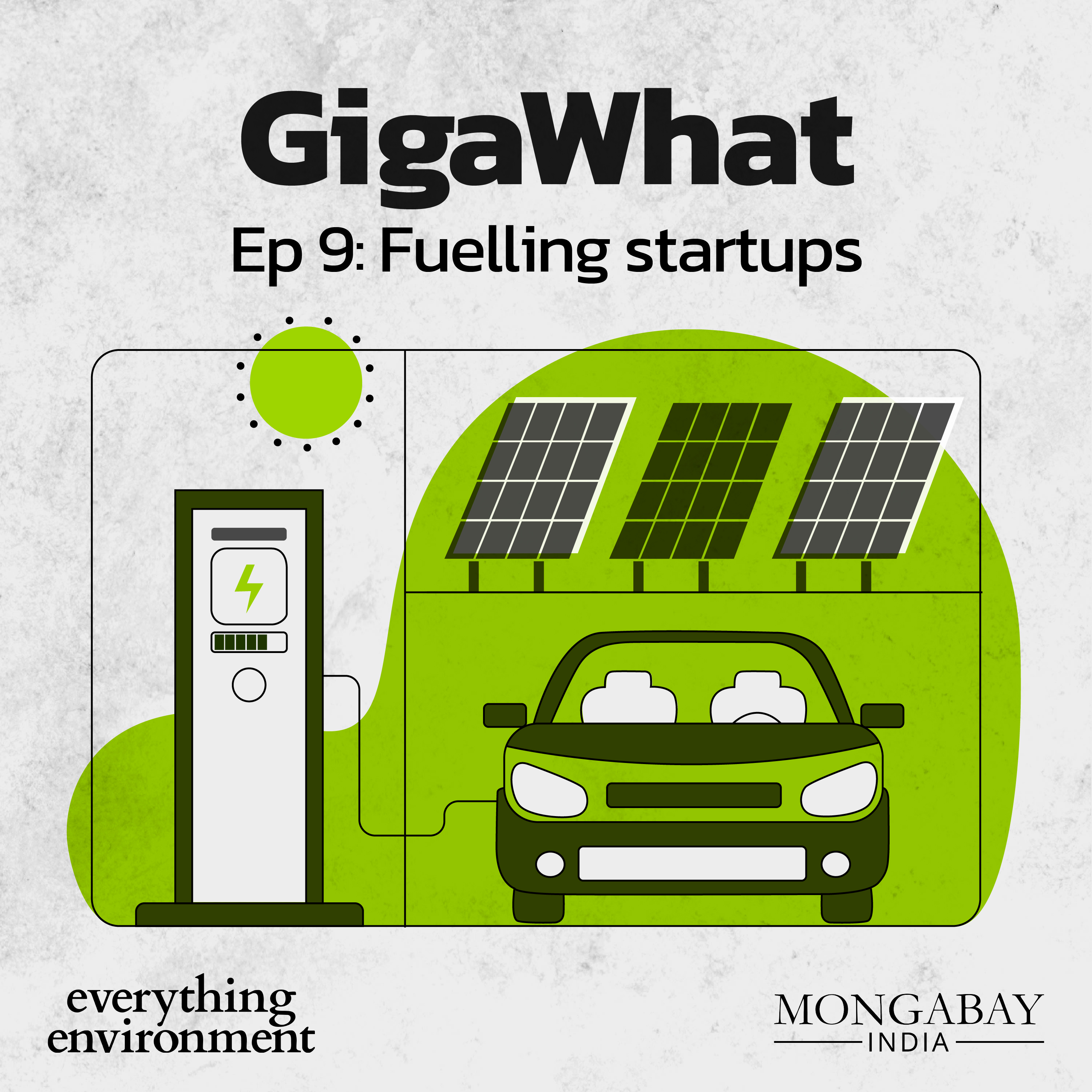 Everything Environment by Mongabay India