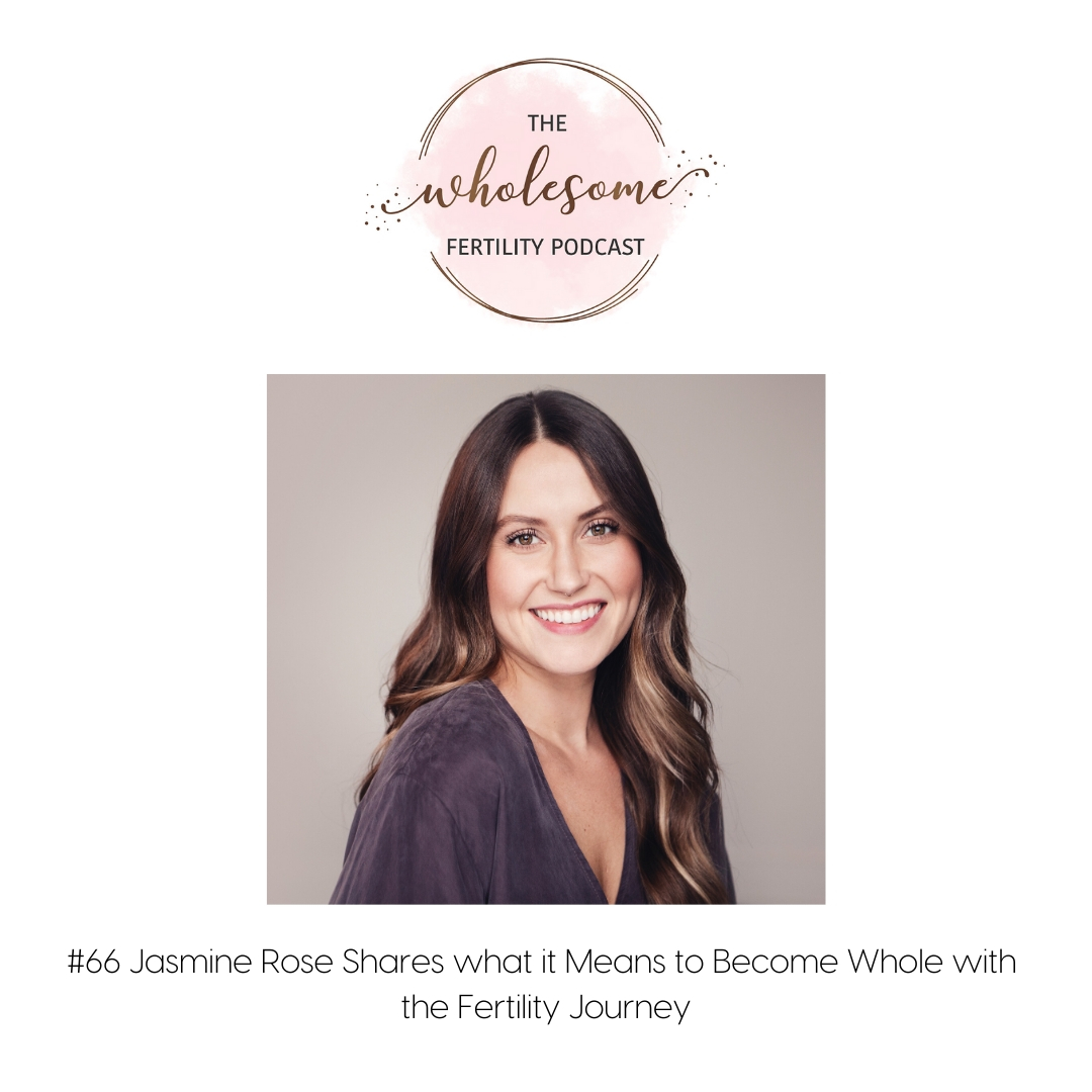 Wholesome Fertility Podcast