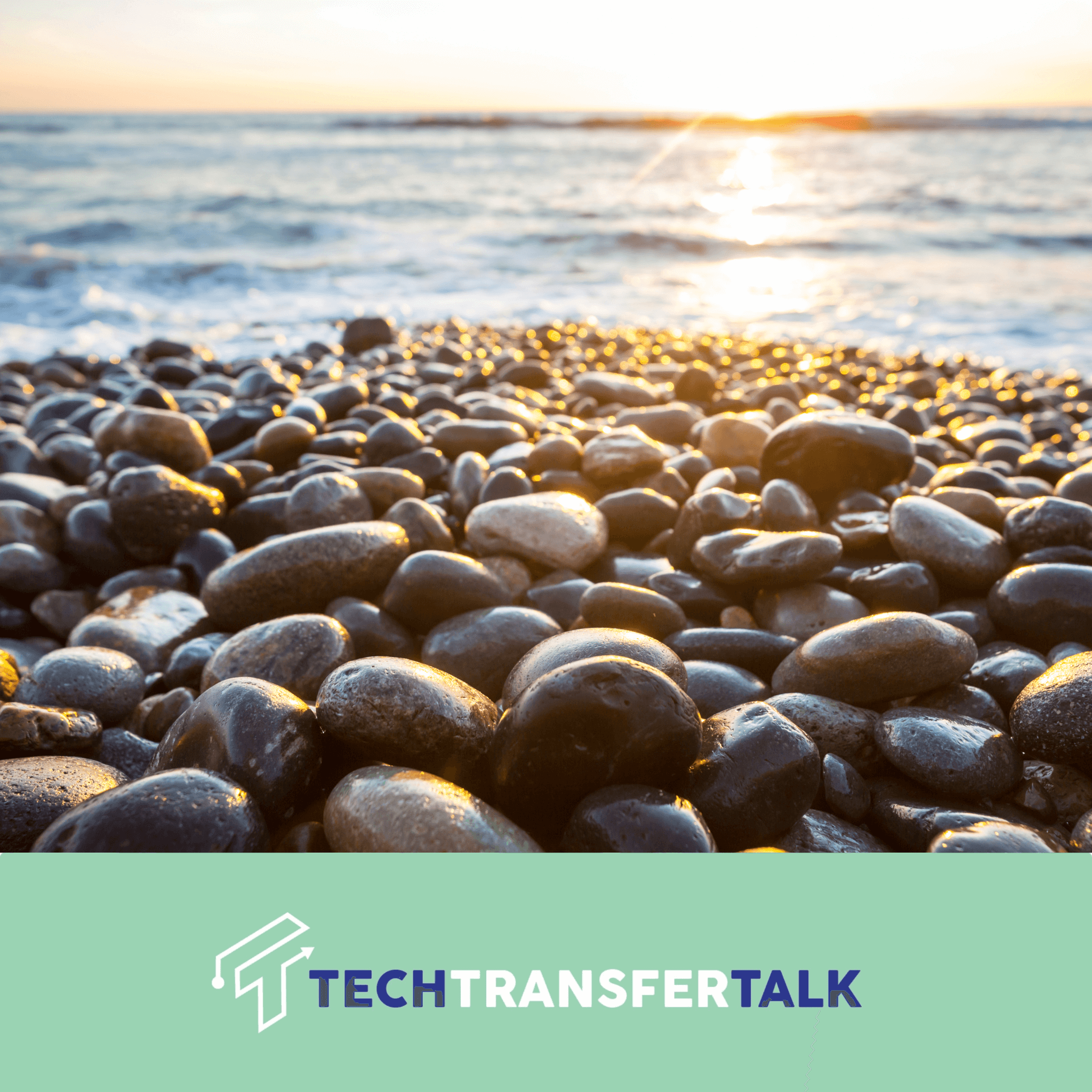 Tech Transfer Talk