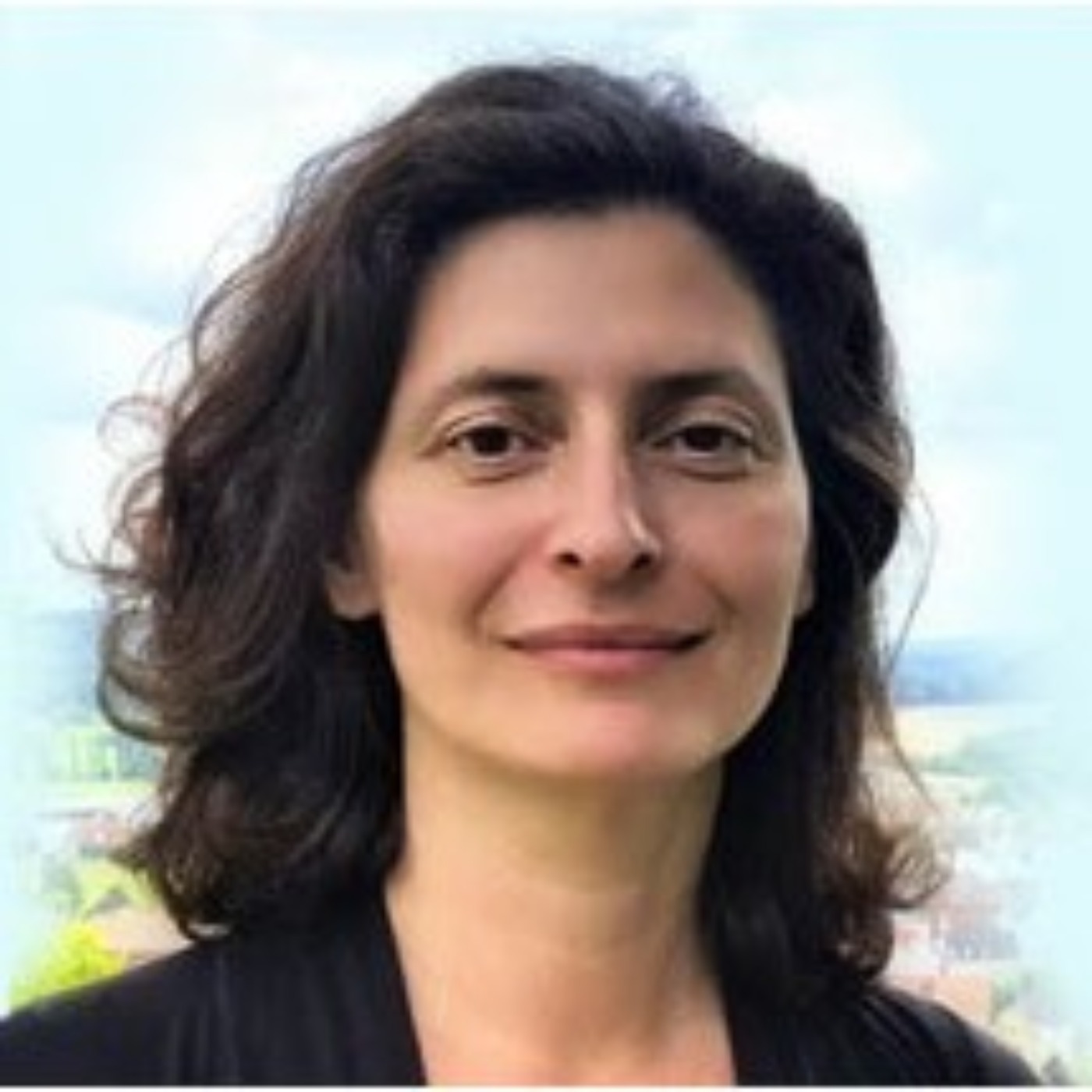 Where Artificial Intelligence and Neuroscience Meet—Irina Rish, PhD—University of Montreal