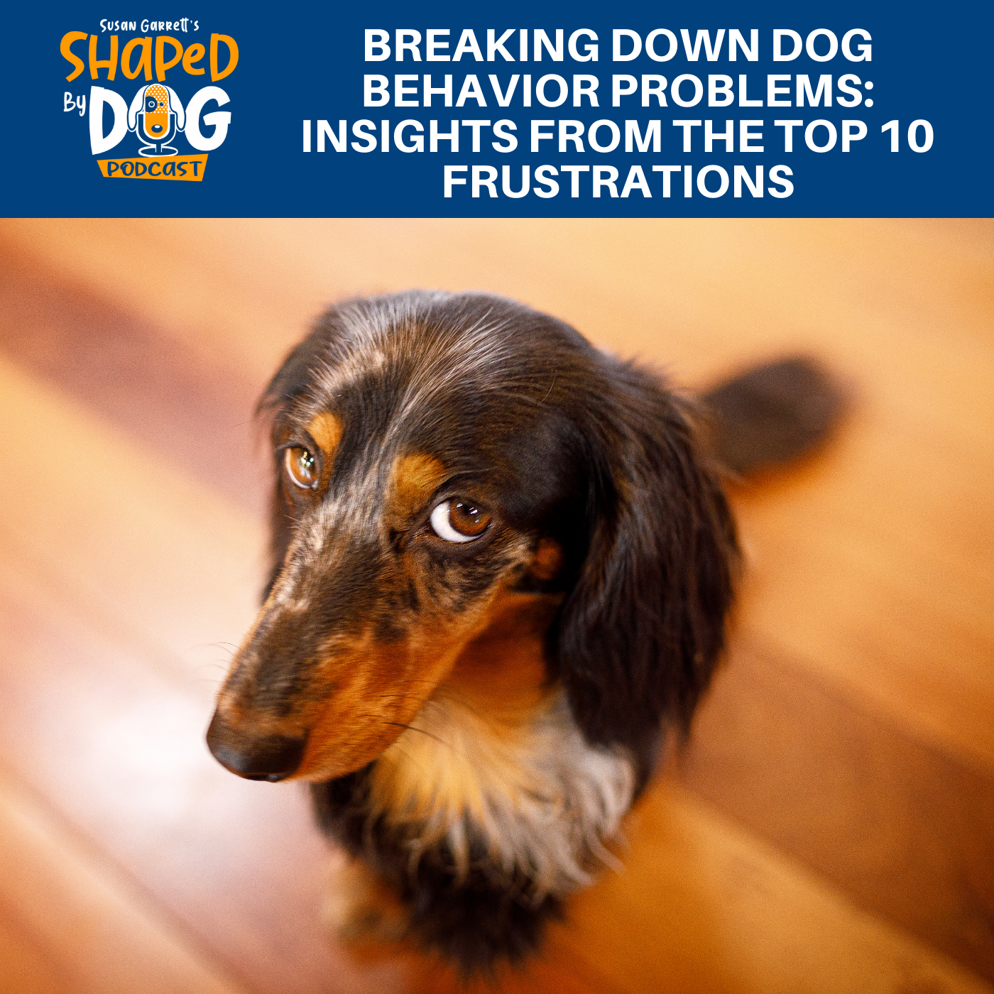Shaped by Dog with Susan Garrett