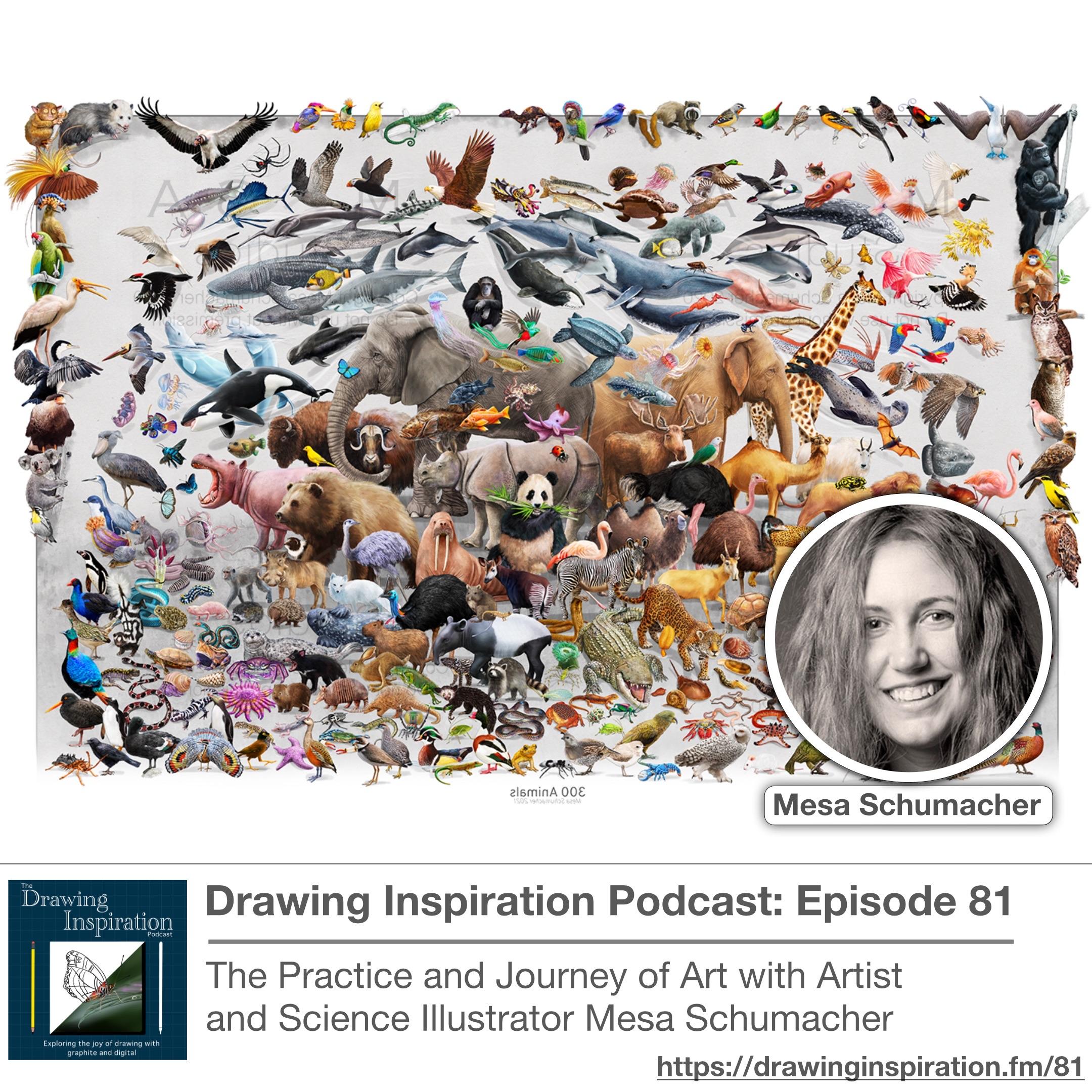 Drawing Inspiration