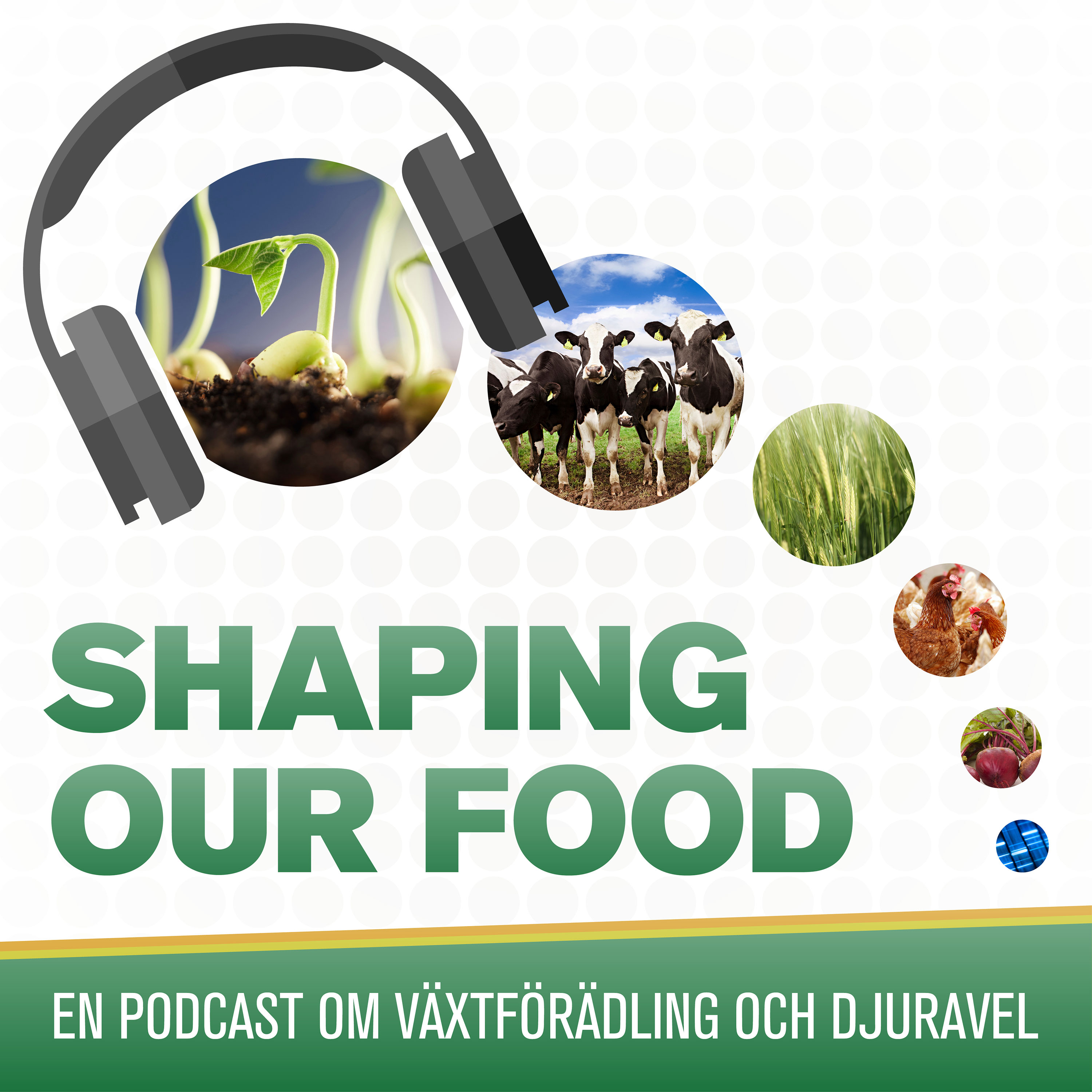 Shaping our food