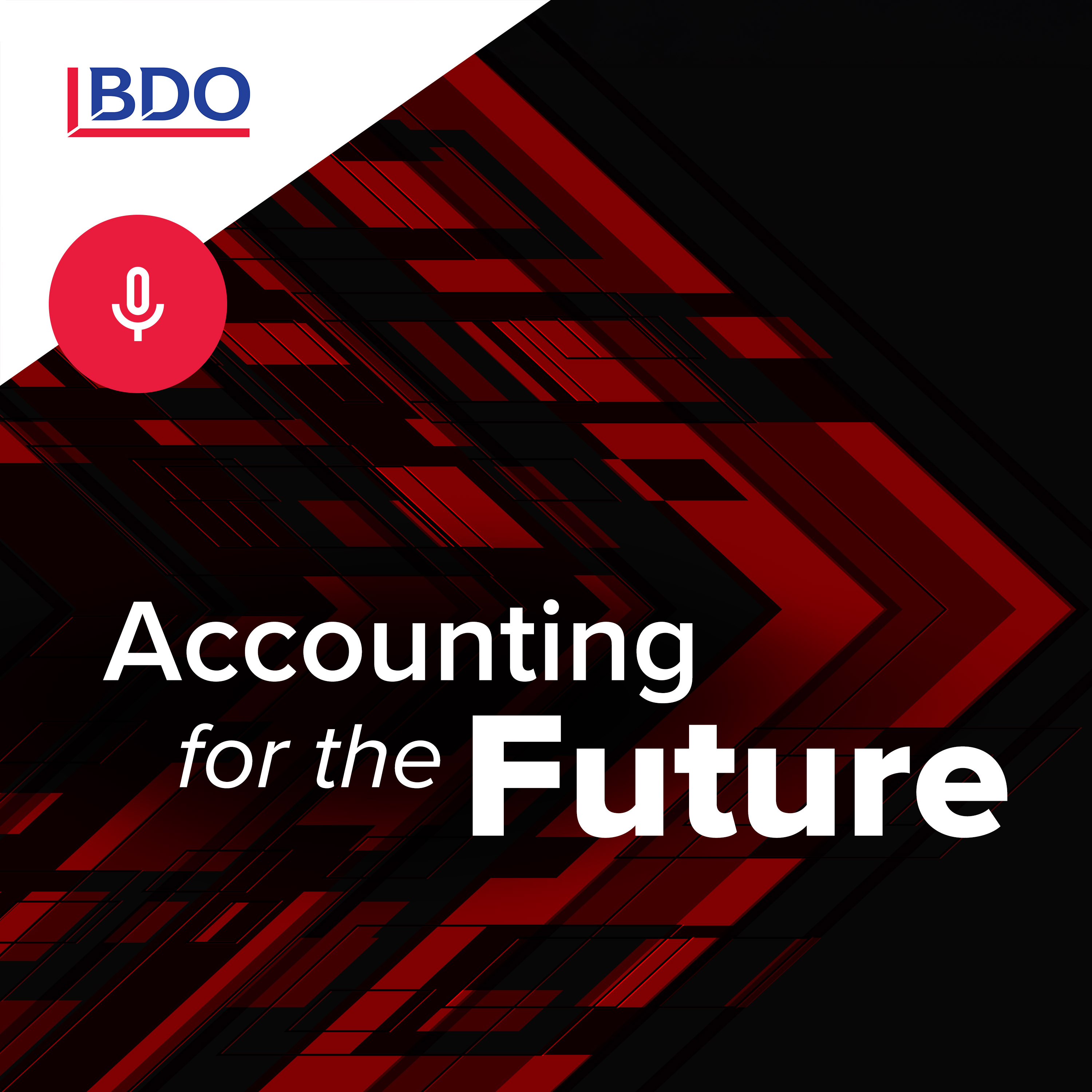Accounting for the Future