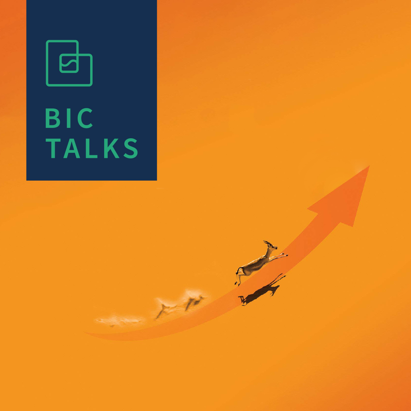 BIC TALKS
