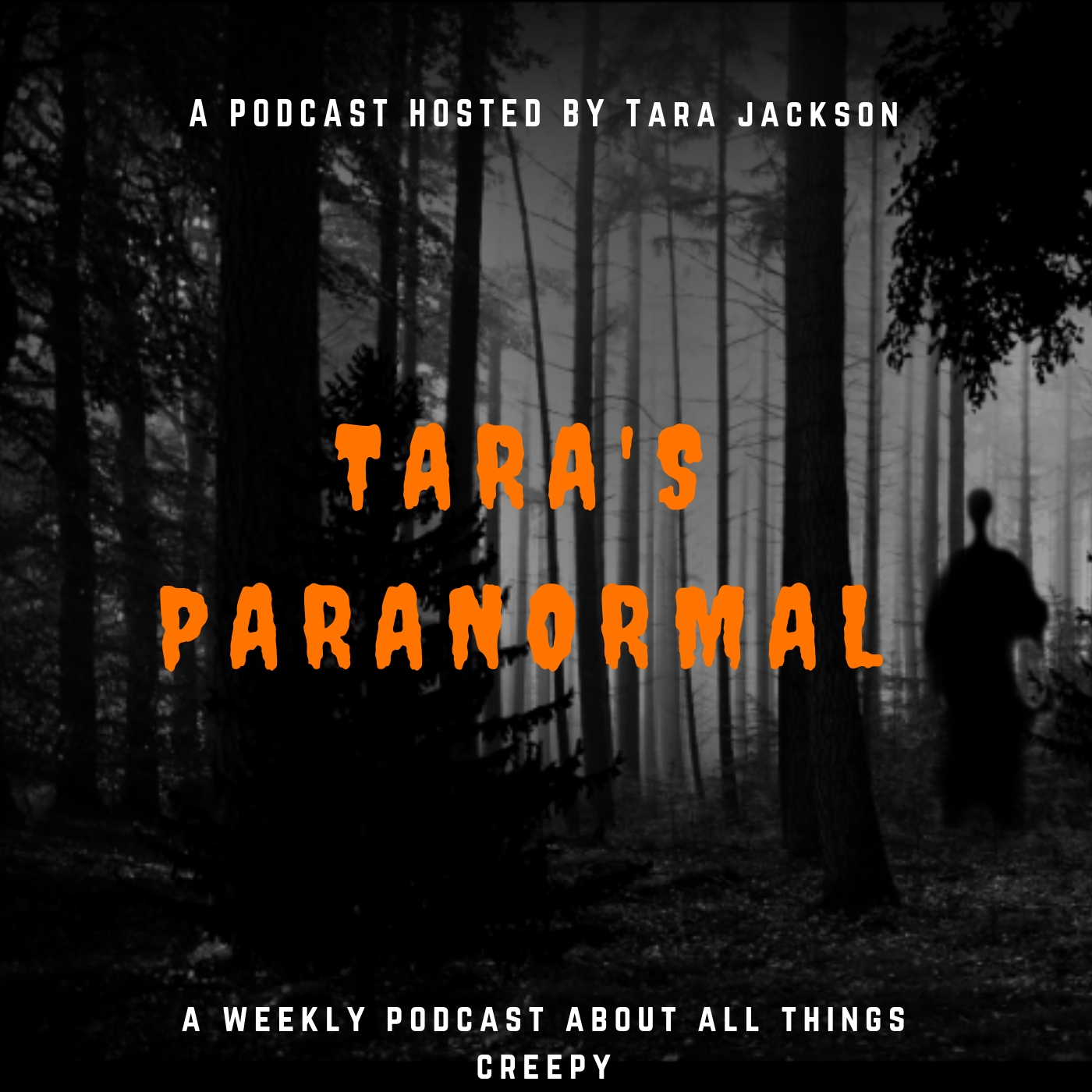 Tara\'s Paranormal Dialogue