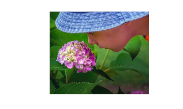 The Gift of Smell