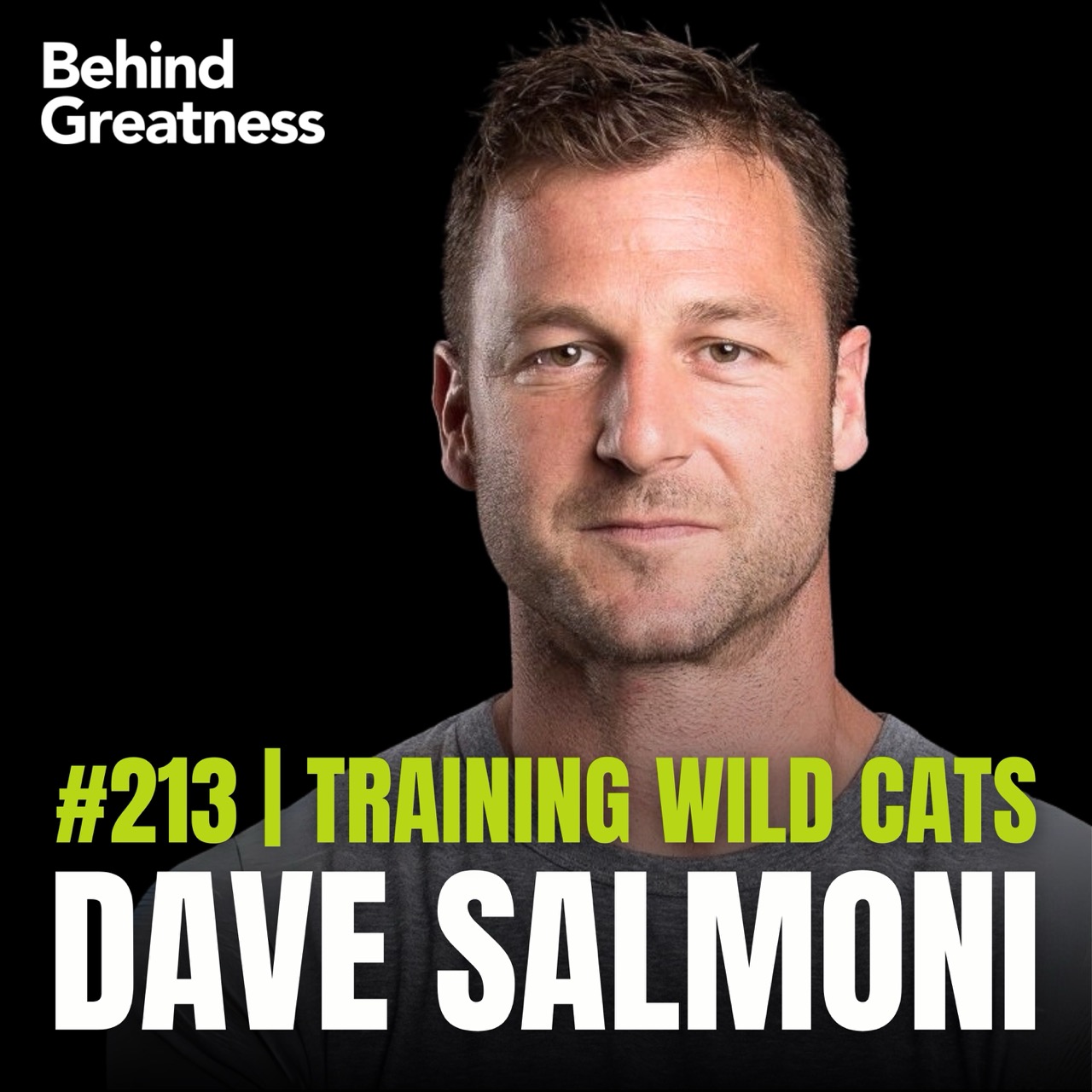 213. David Salmoni – Zoologist / Big Cat Expert / Animal Presenter - Trying A Lot of What-Ifs