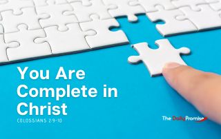 The Daily Promise