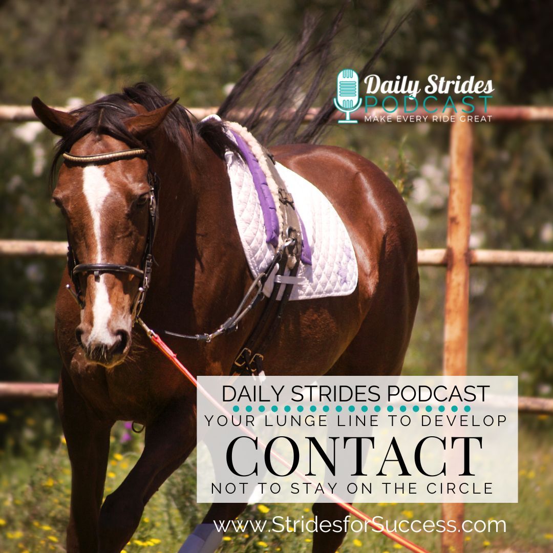 [Encore] Strides Revisited: Developing Contact Using the Lunge Line While on the Lunge (Originally Ep #1168)