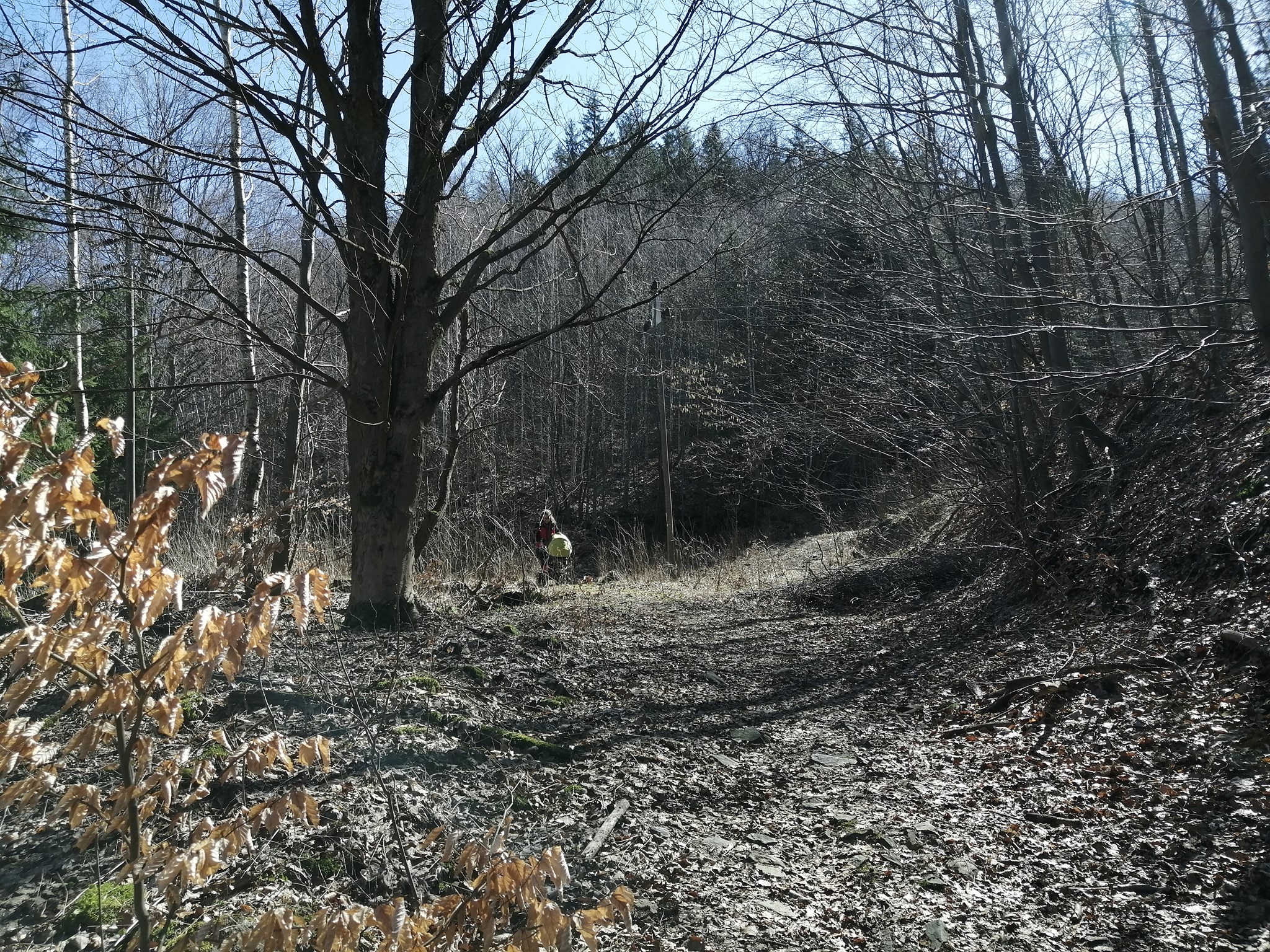 Zajímavosti Krušných hor