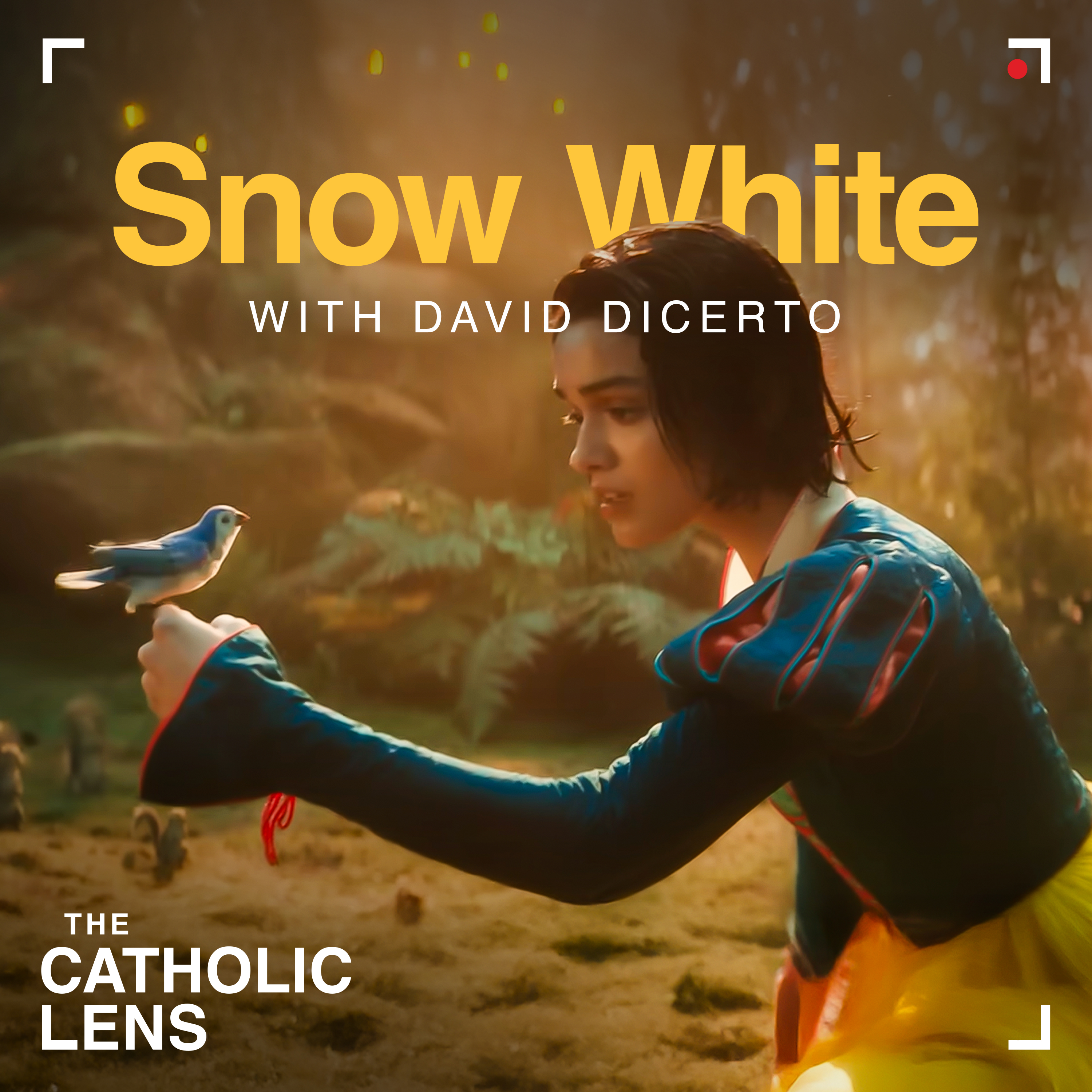 The Catholic Lens