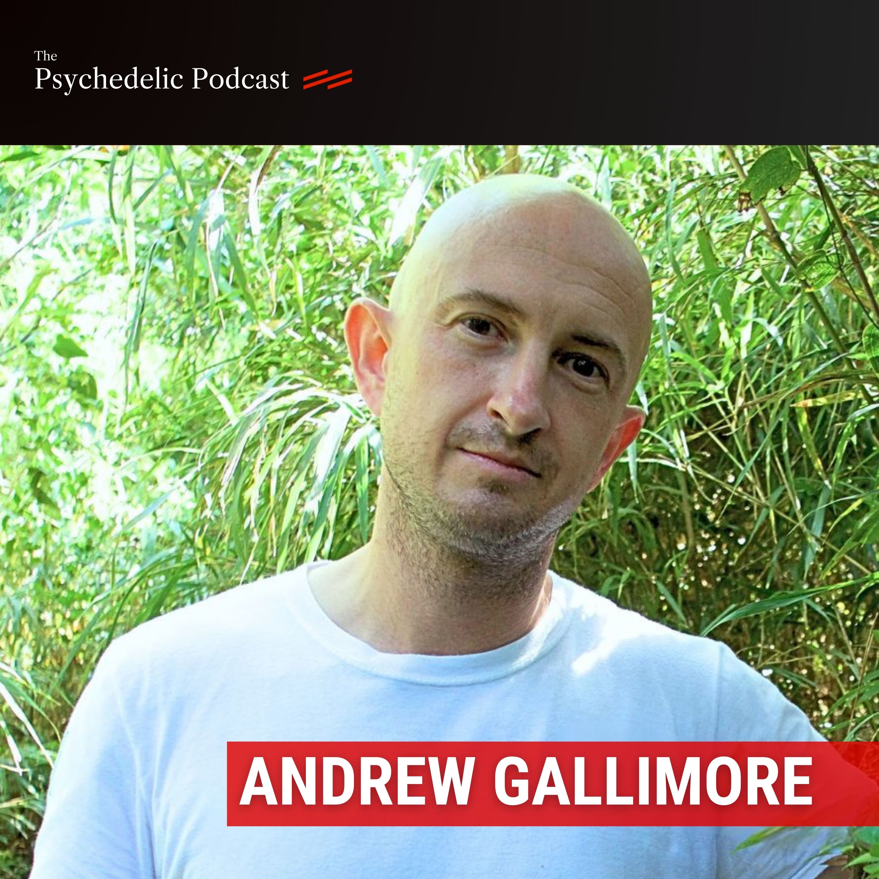 Death by Astonishment: DMT and the Hidden Nature of Reality - Dr. Andrew Gallimore