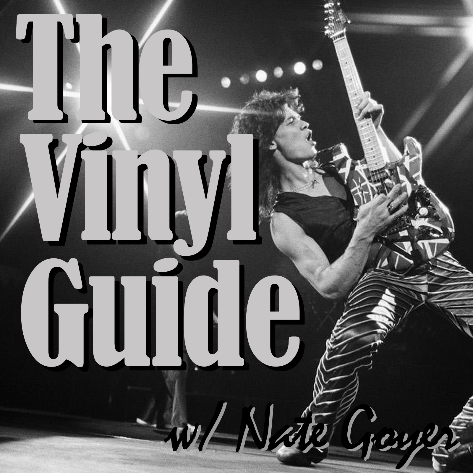 The Vinyl Guide - Artist Interviews for Record Collectors and Music Nerds