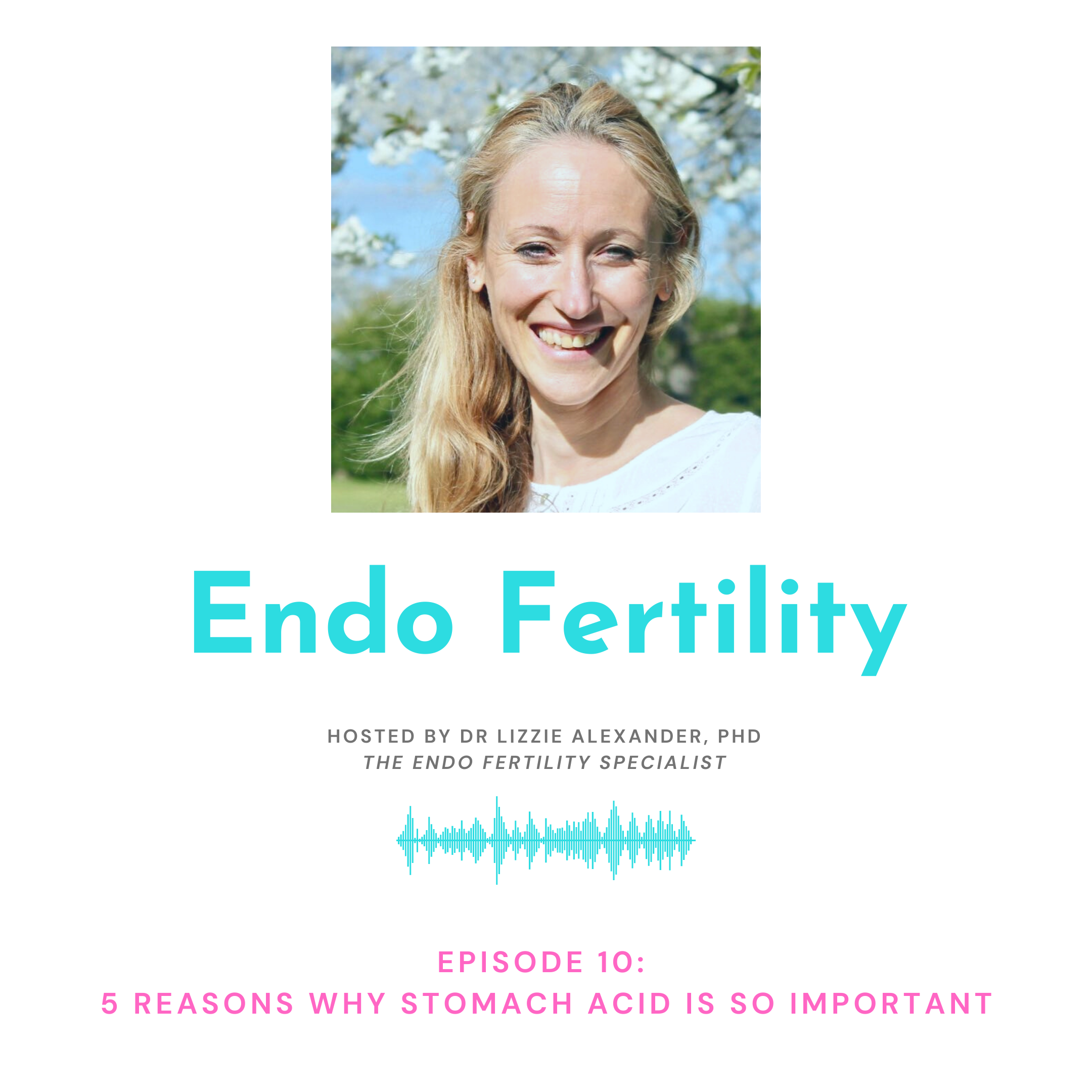 Endo Fertility