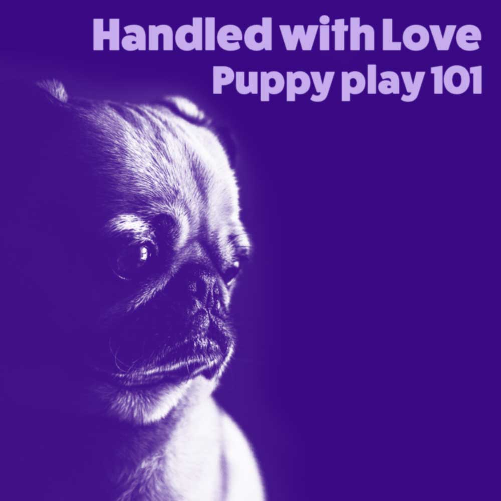 Handled with love: Puppy play 101 Discussion