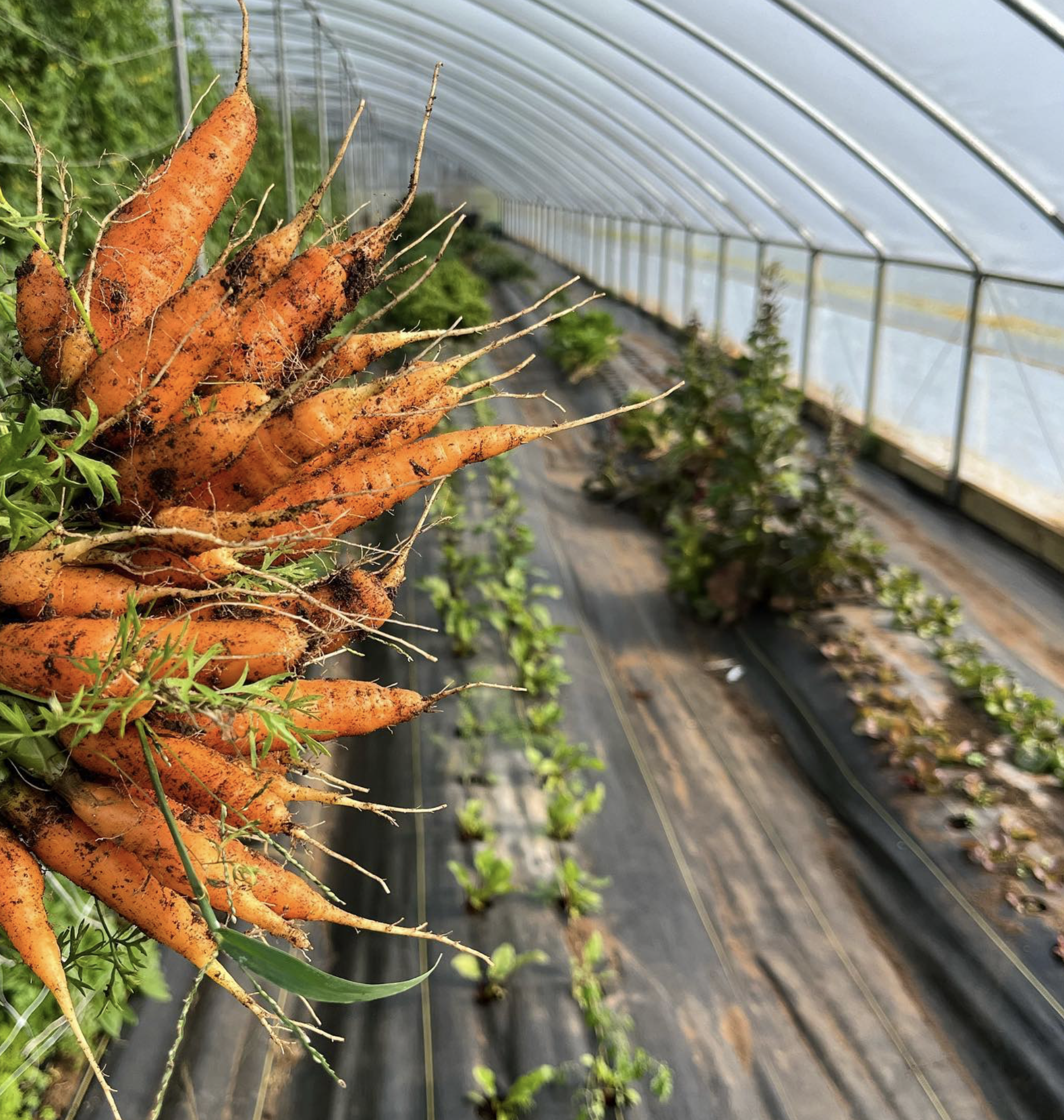 Off-Farm Income