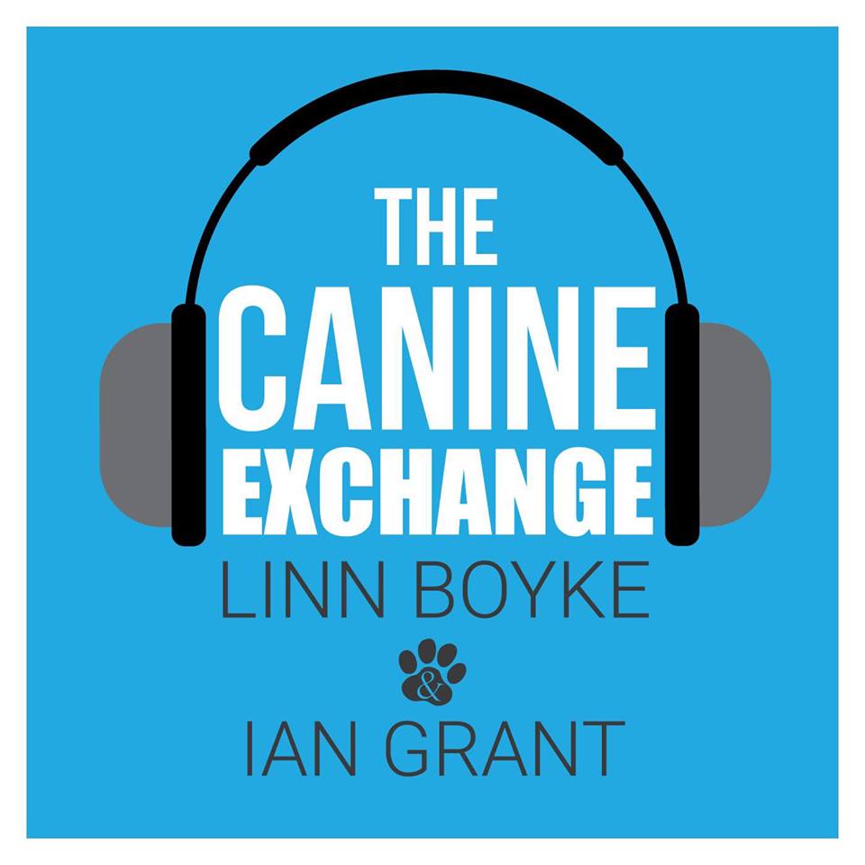 Canine Exchange - Patterns, Rules, & Cycle of Life