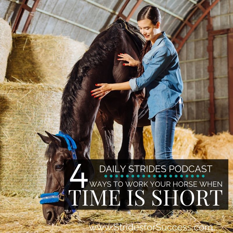 1120 4 Ways to Work Your Horse when Time is Short