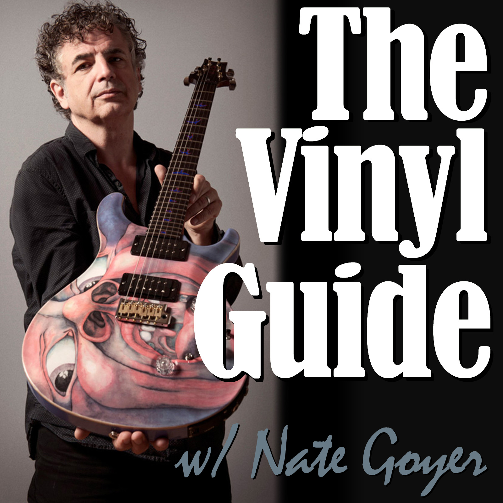 The Vinyl Guide - Artist Interviews for Record Collectors and Music Nerds