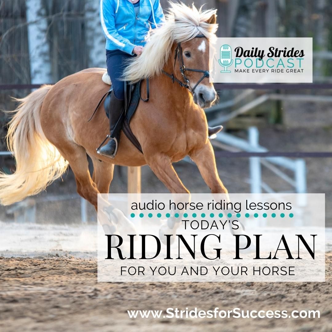 Today's Riding Plan for You and Your Horse...
