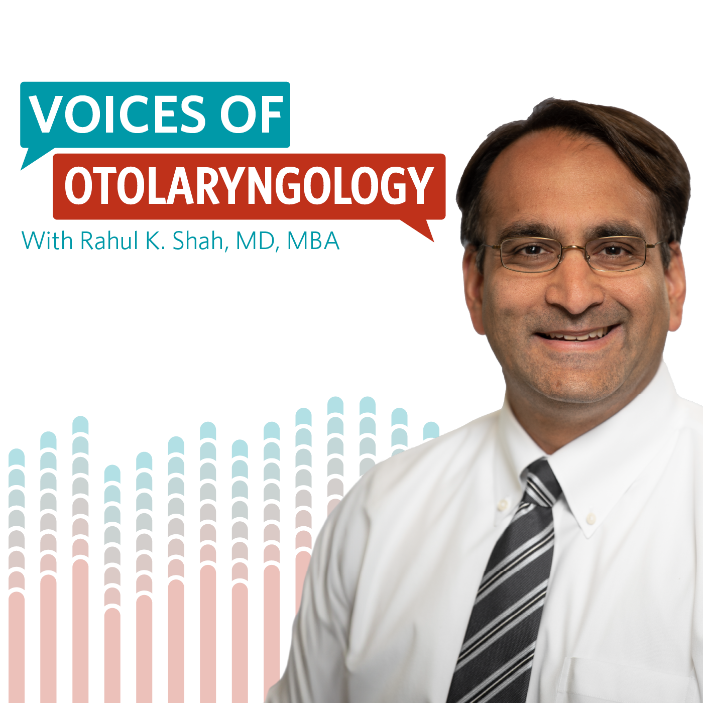 Voices of Otolaryngology: Section Chairs