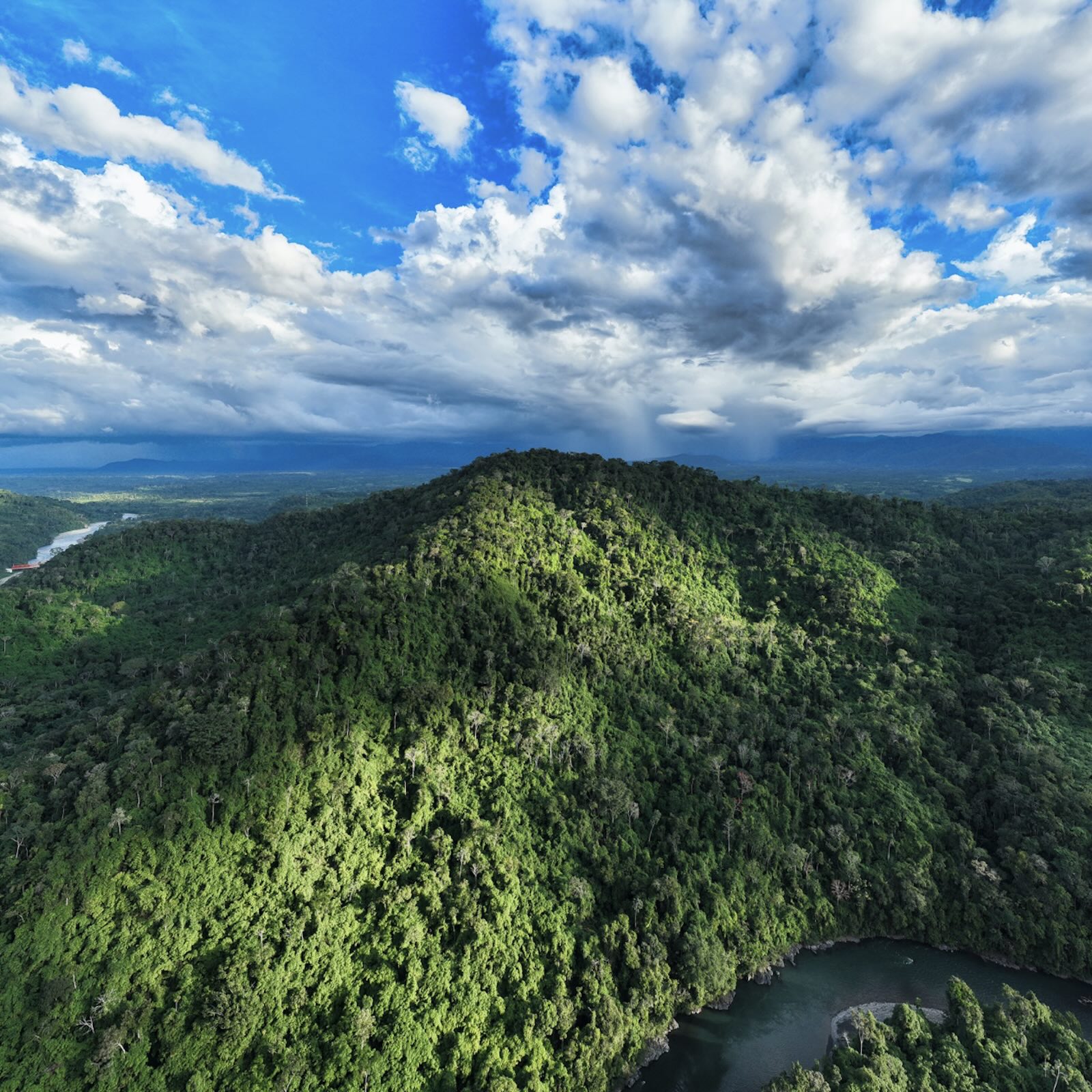 Mongabay Newscast