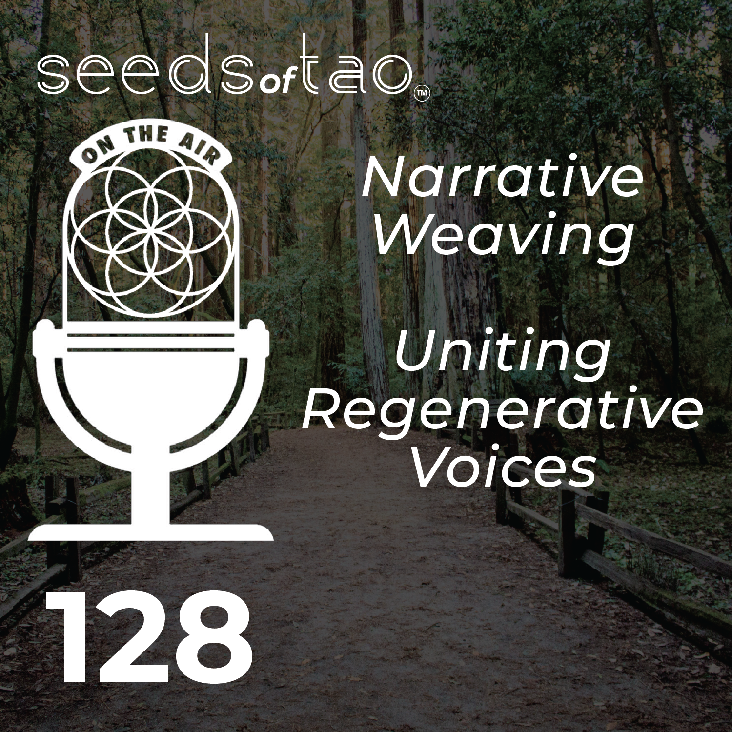 Seeds of Tao: Impact entrepreneurs seeding regenerative paths beyond sustainability