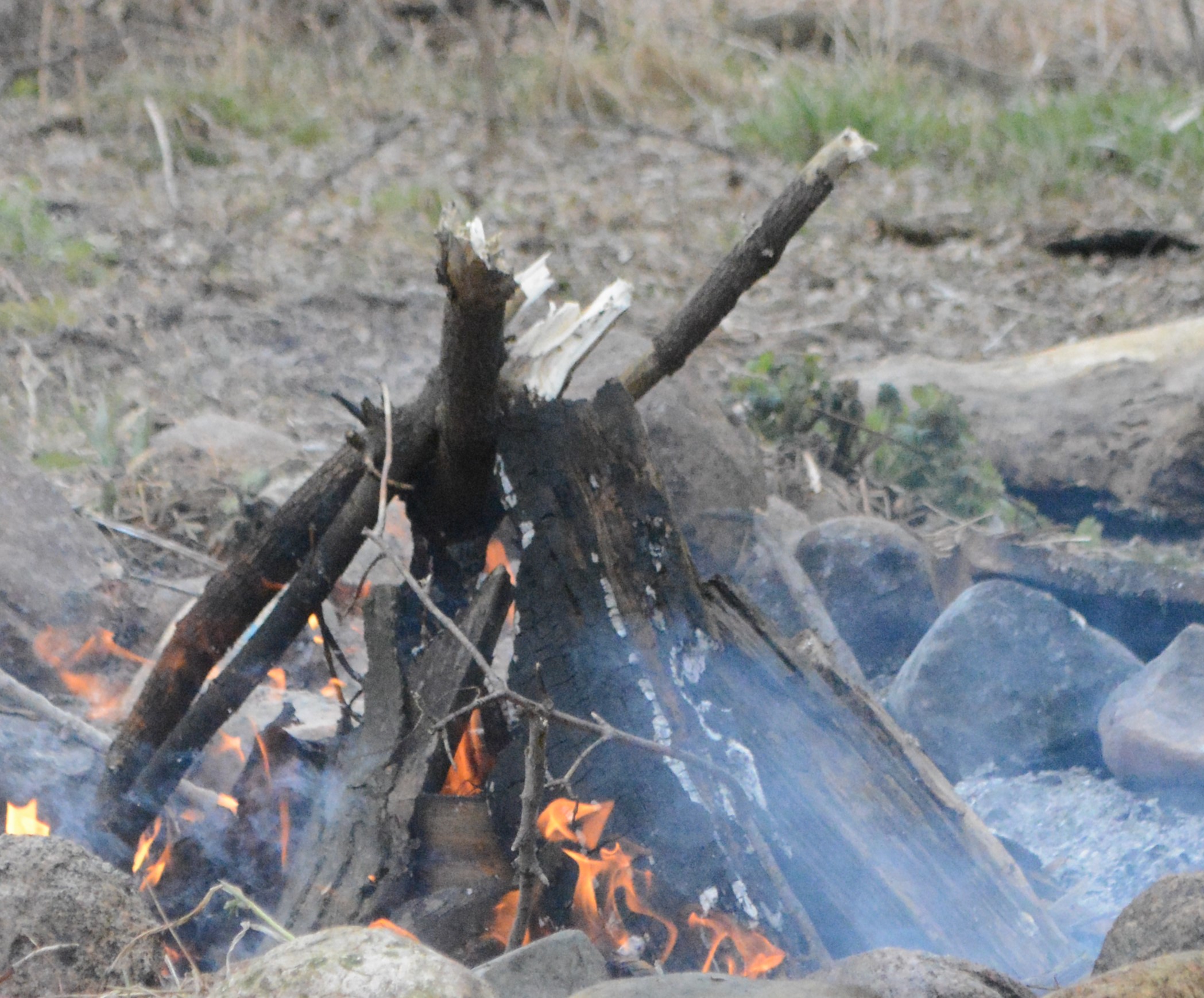 4 Tips to Help Positive Thinking to Spark Passion