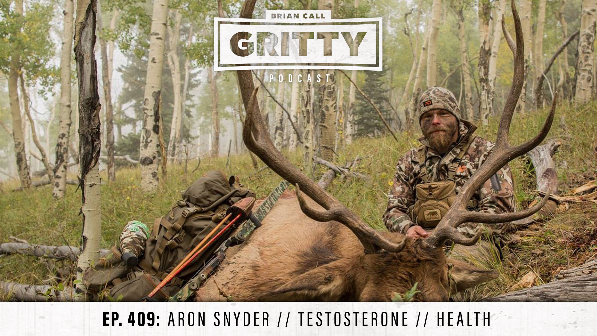 EP. 409: ARON SNYDER // TESTOSTERONE // HEALTH
