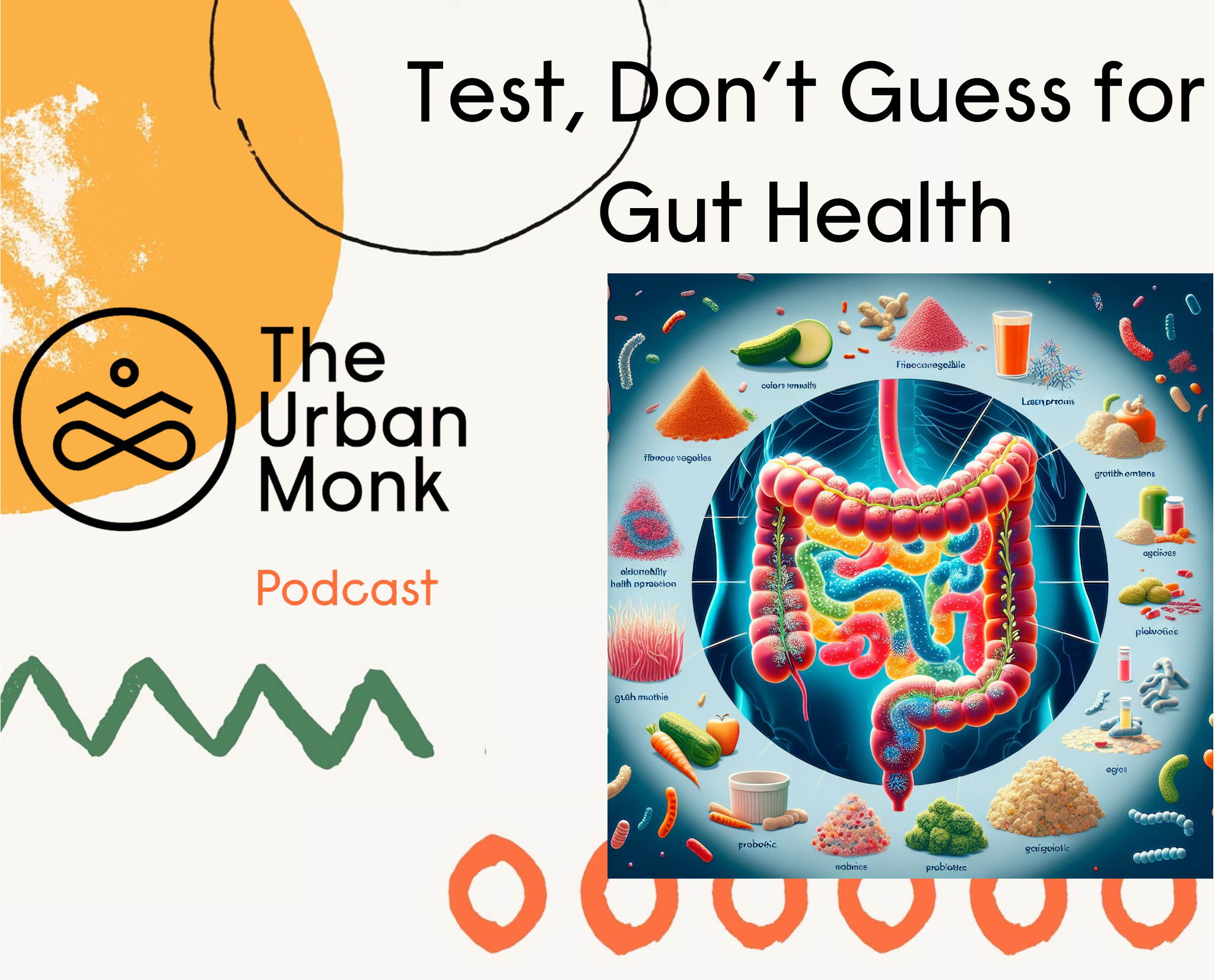 The Urban Monk podcast with Dr. Pedram Shojai