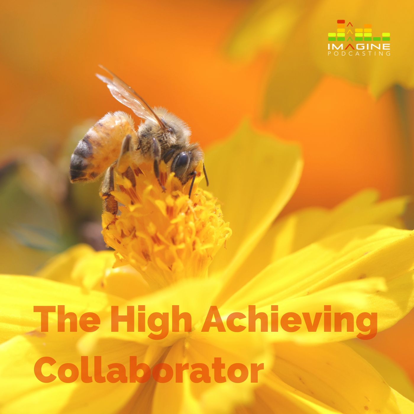 WISL 54 The High Achieving Collaborator with Lisa, Audrey, and Patty WISL 54 The High Achieving Collaborator with Lisa, Audrey, and Patty