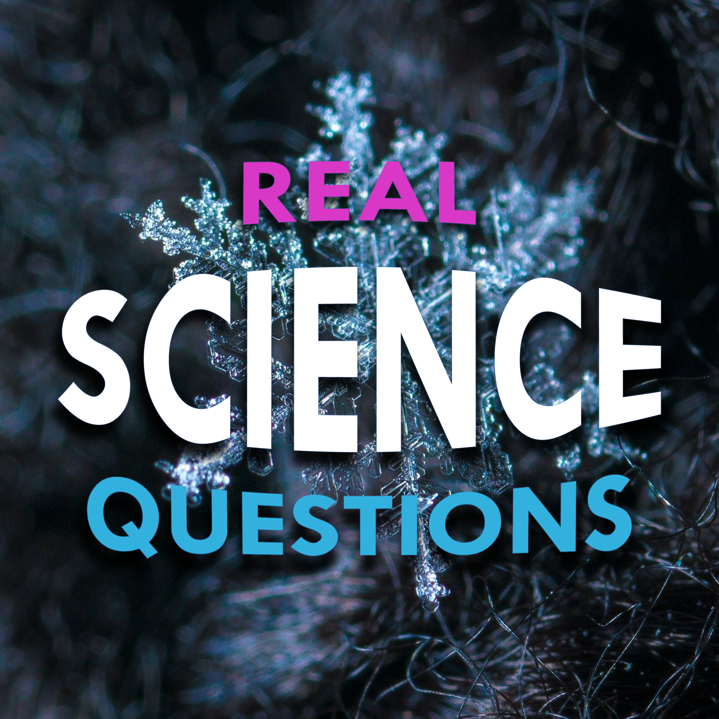 #9.5 Will it Snow? Christmas Bonus 2021