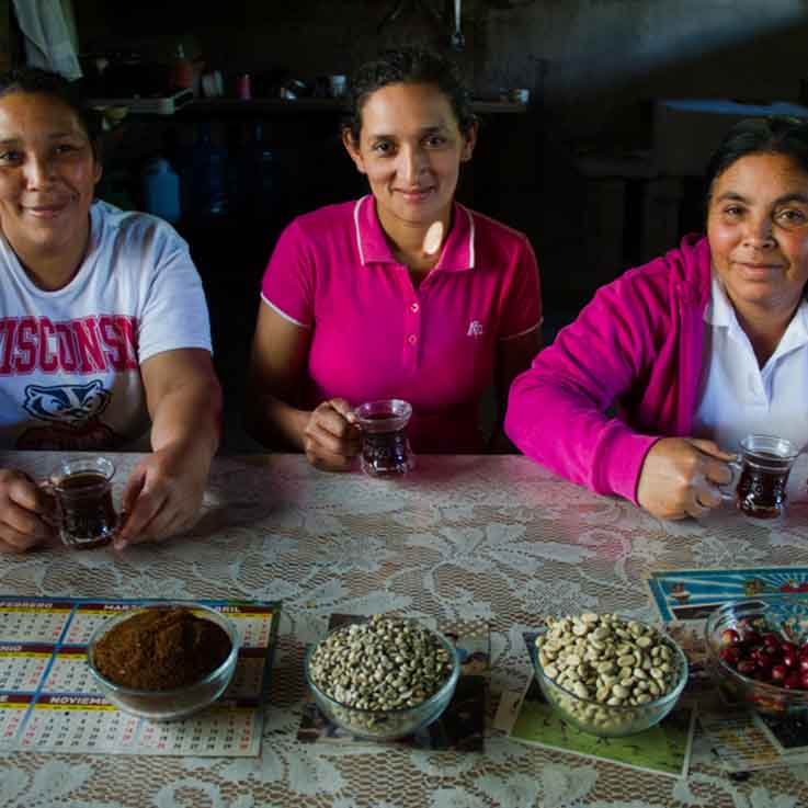 A Fair Deal for Coffee Growers