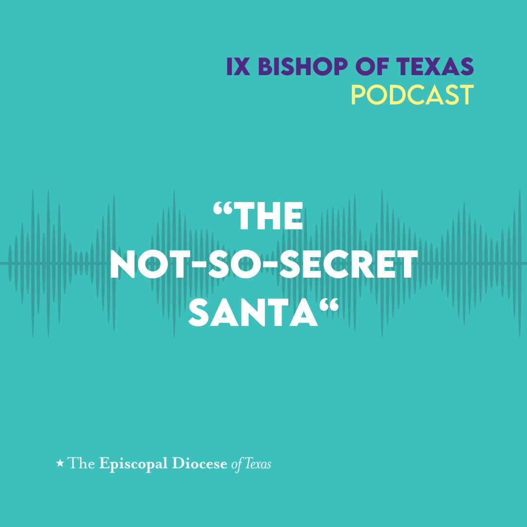 Ninth Bishop of Texas