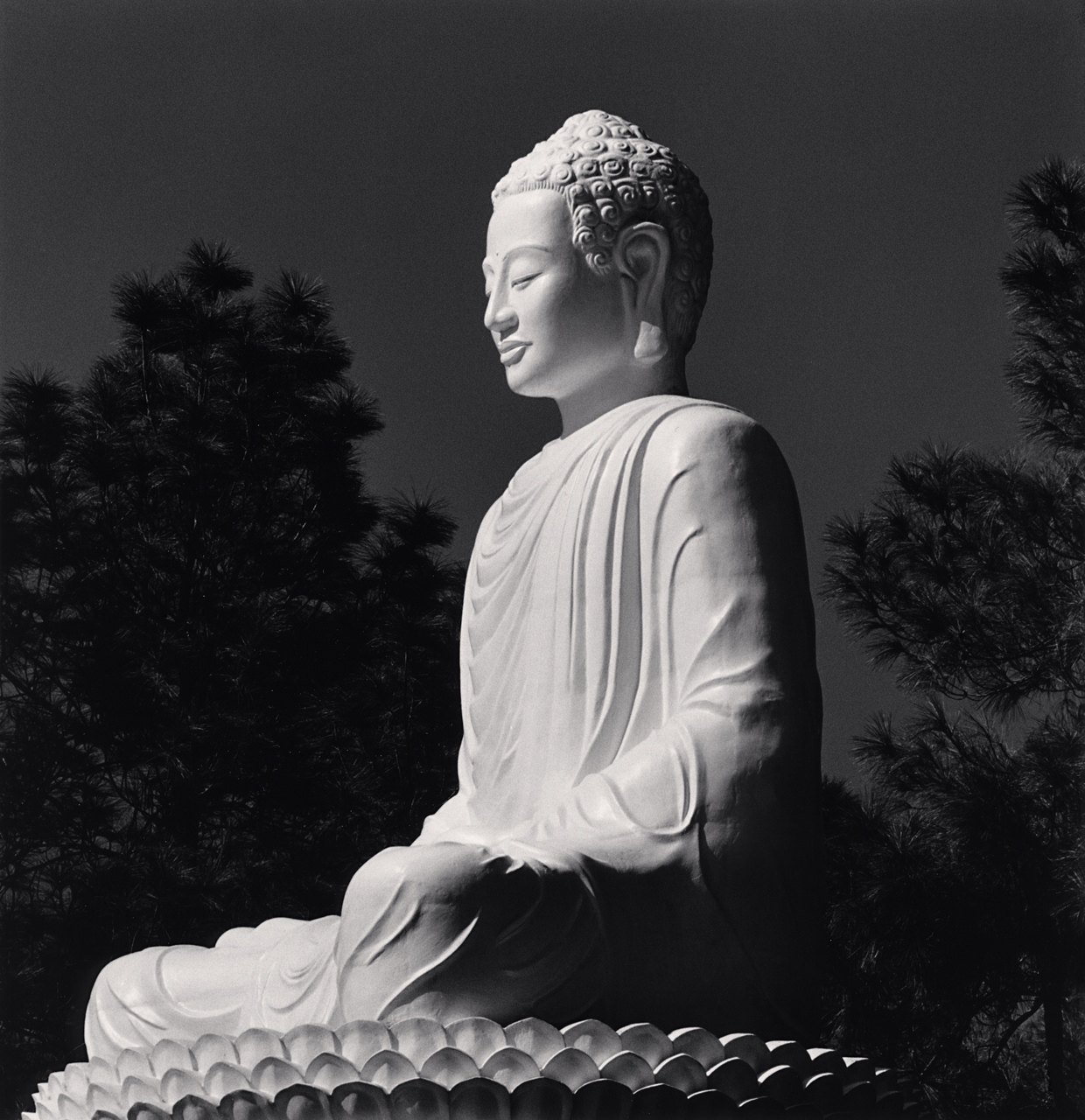 A Non-Buddhist Questions the Buddha