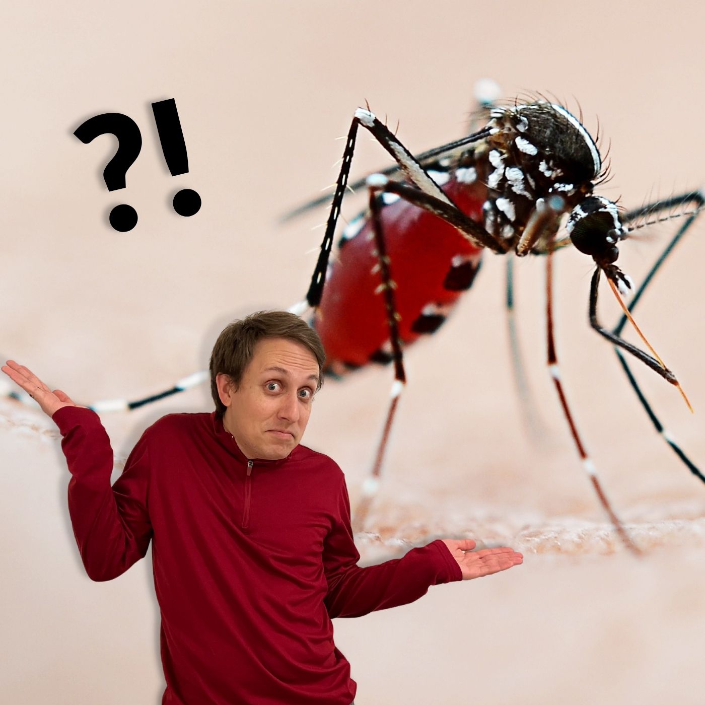 Are mosquitoes any good? Can we just get rid of all of them?