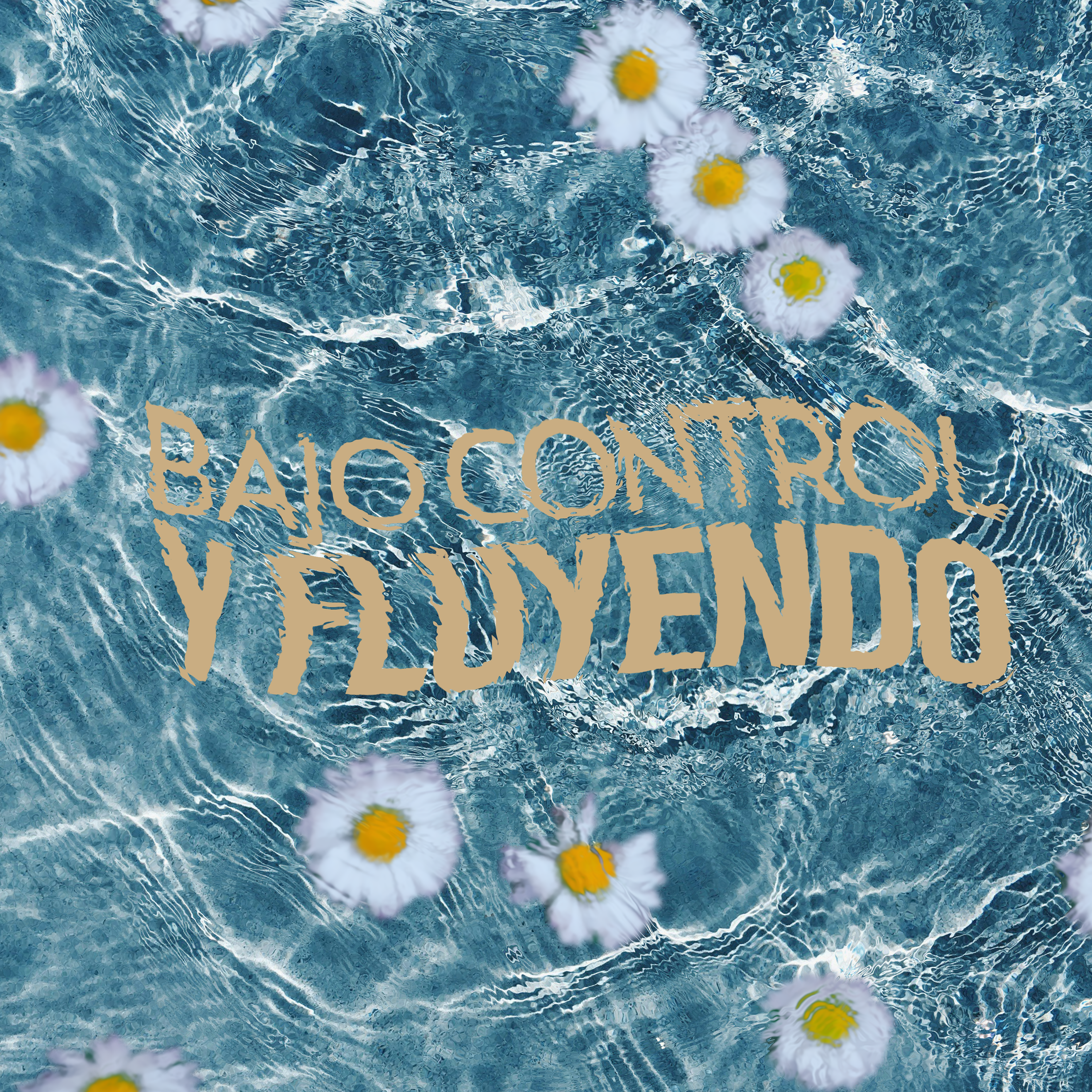 Bajo Control Y Fluyendo