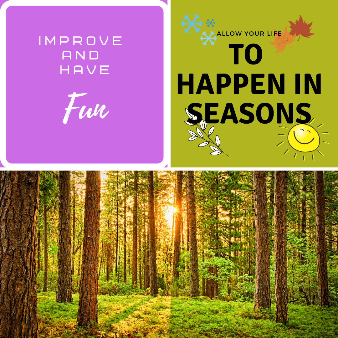 Allow Your Life to Happen In Seasons