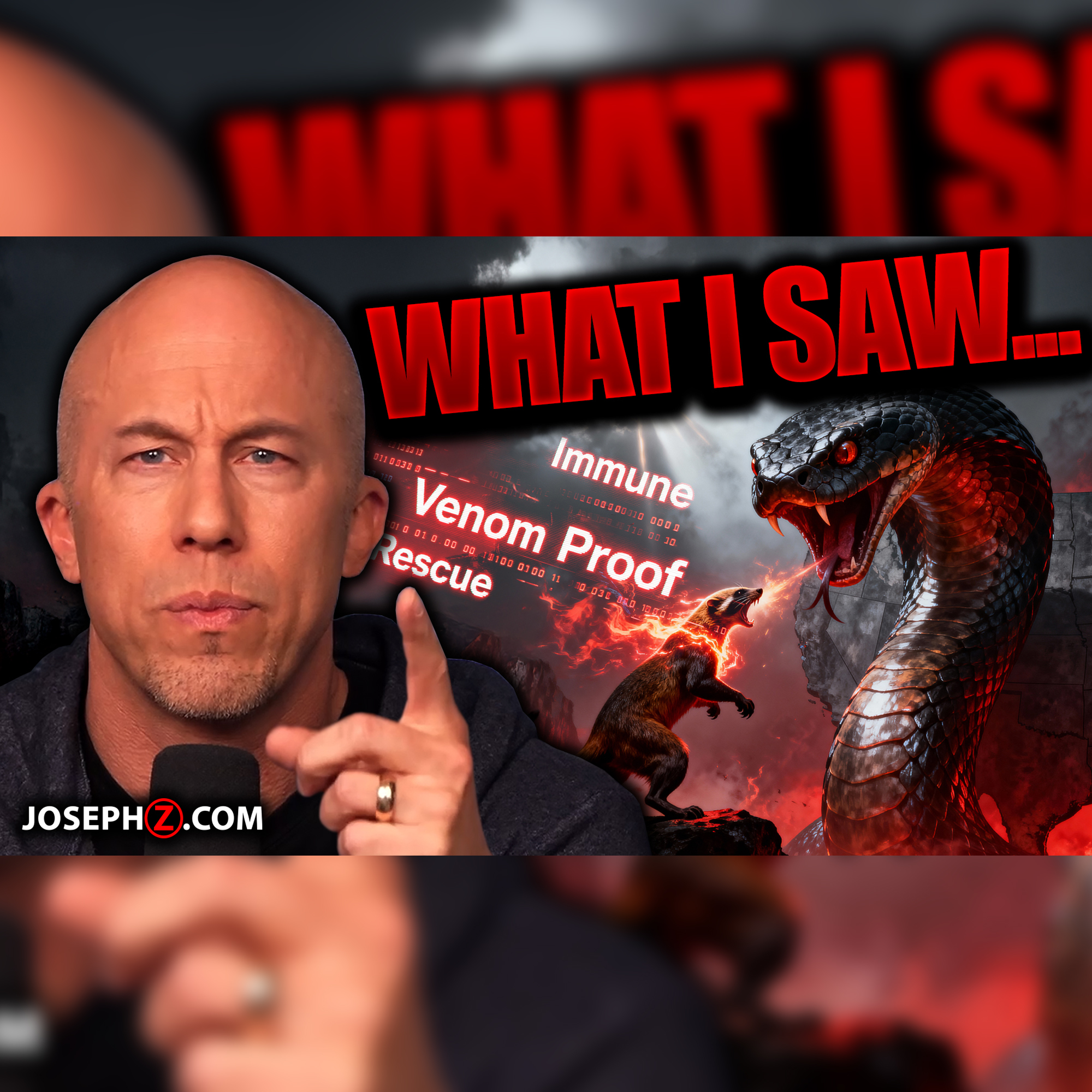 I Saw A MONGOOSE RELEASED at a GIANT VIPER!!