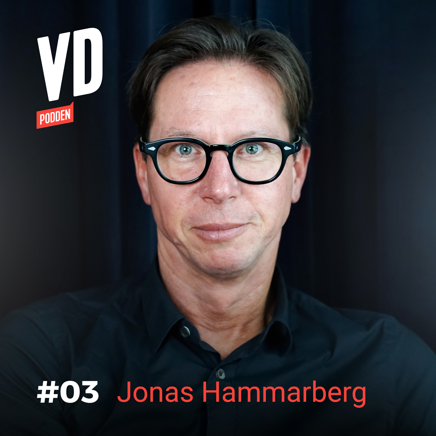 VD-podden