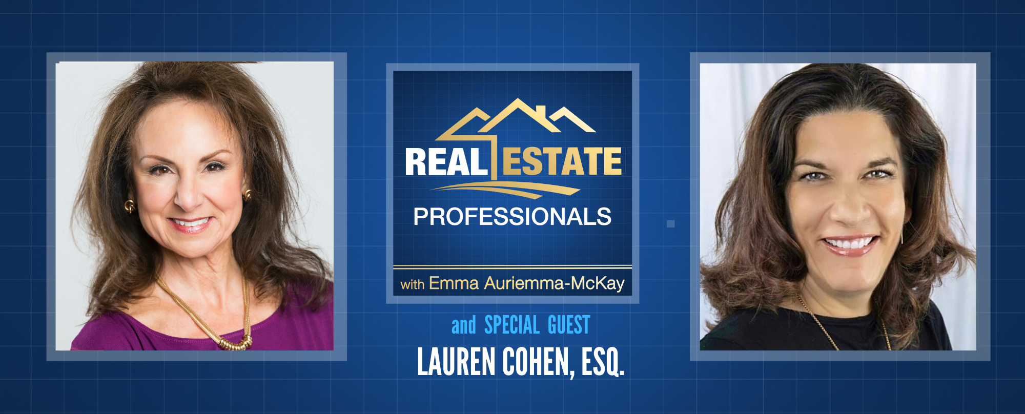 Real Estate Professionals - Property Sales Tactics for Realtors