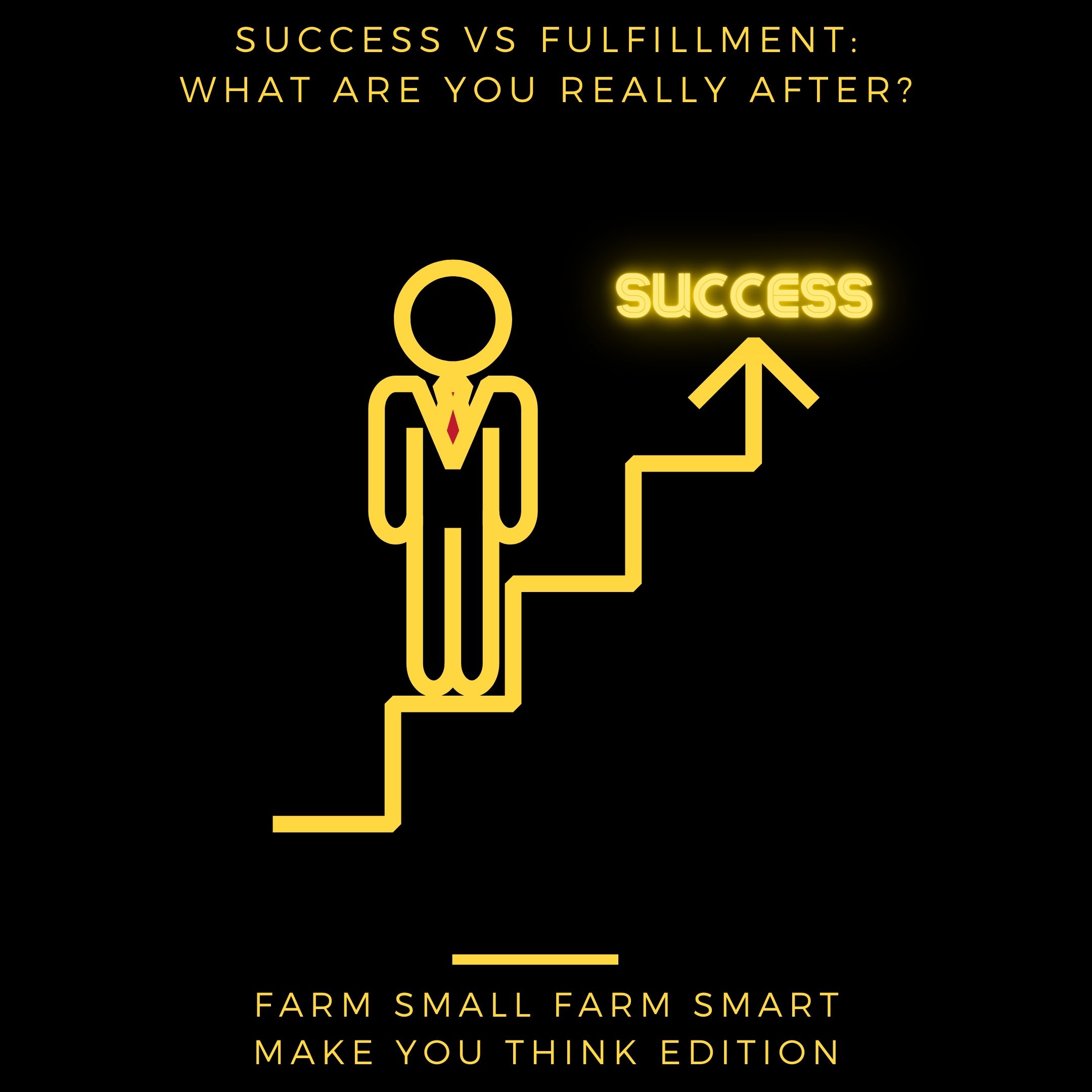 Why Seeking Success Might Be the Worst Mistake Of All - Midsummer Special