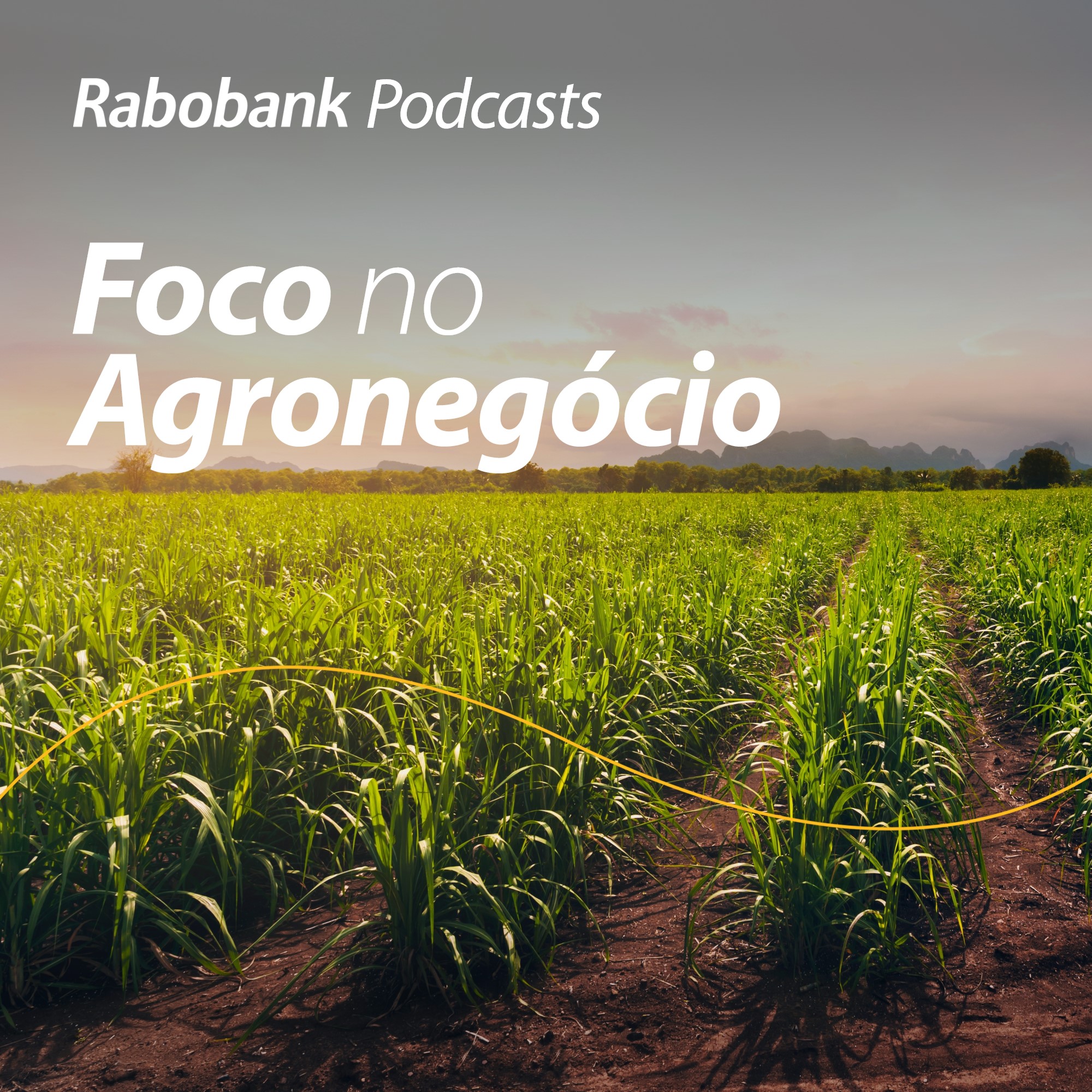 Olho no Mercado | Açúcar visto de Nova Iorque
