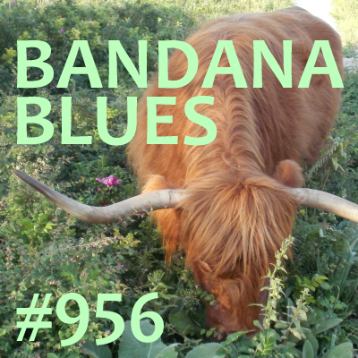 Bandana Blues, founded by Beardo, hosted by Spinner