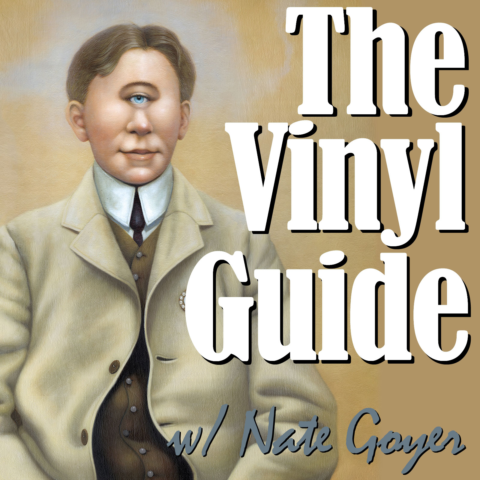 The Vinyl Guide - Artist Interviews for Record Collectors and Music Nerds