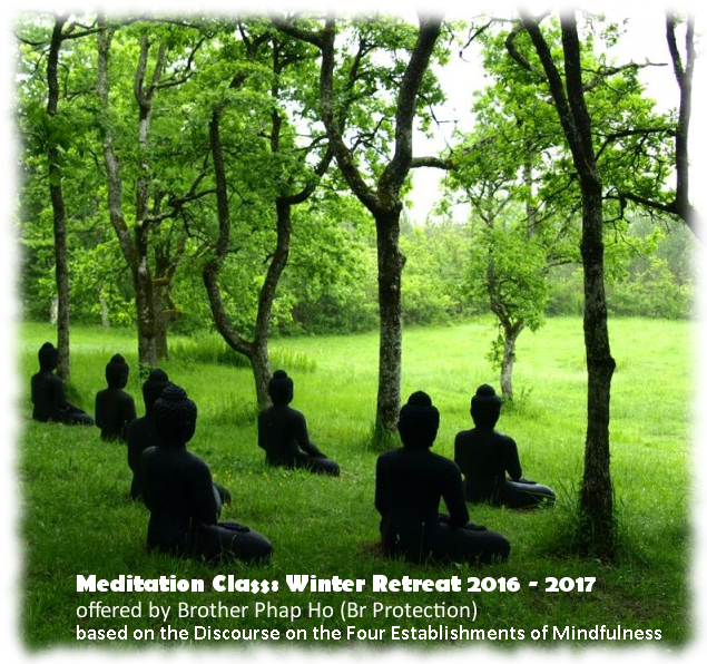 Meditation Class 2017-02-19, Mind in the Mind, Part 2