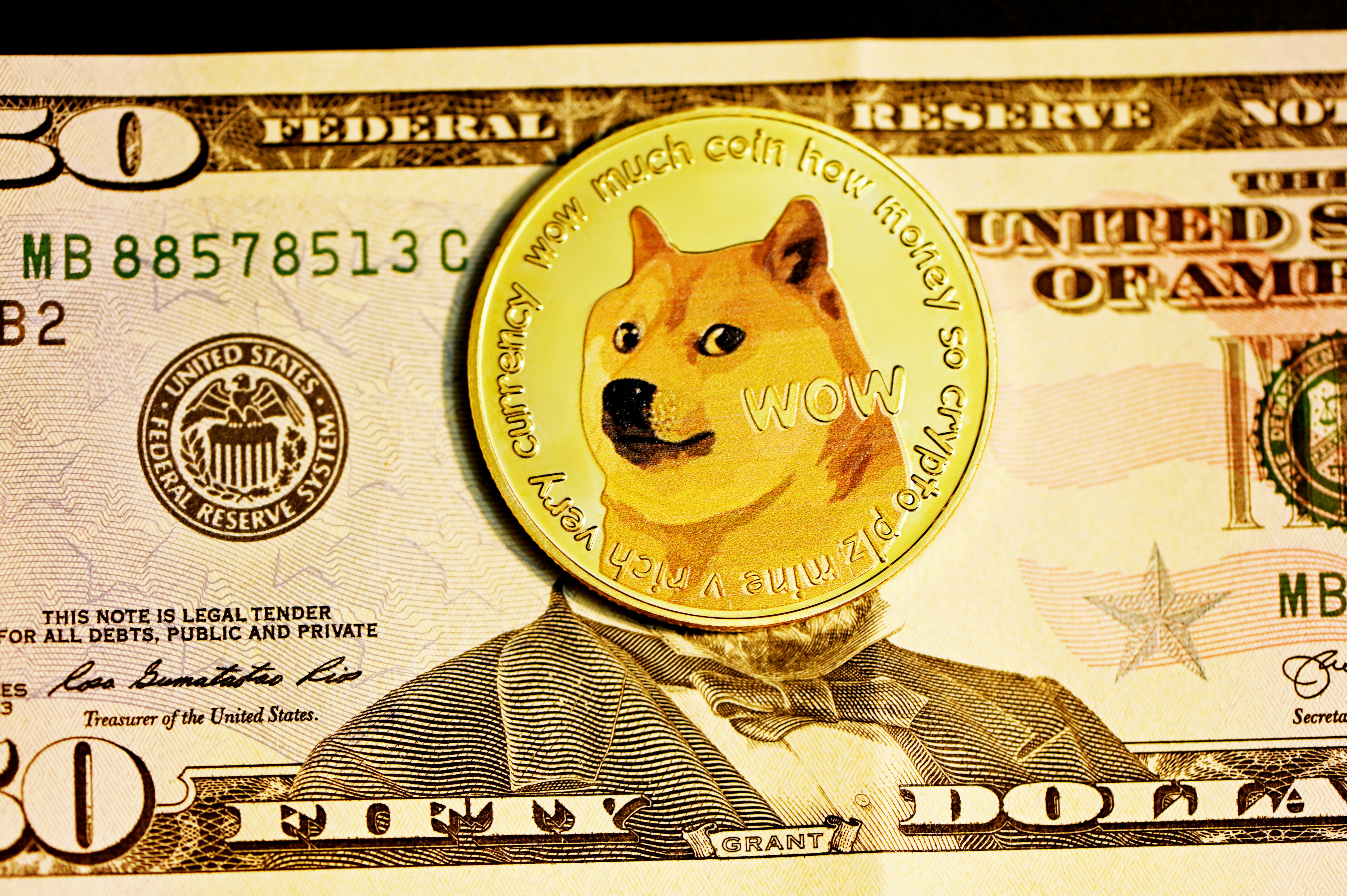 The DOGE & Tariff Recession?