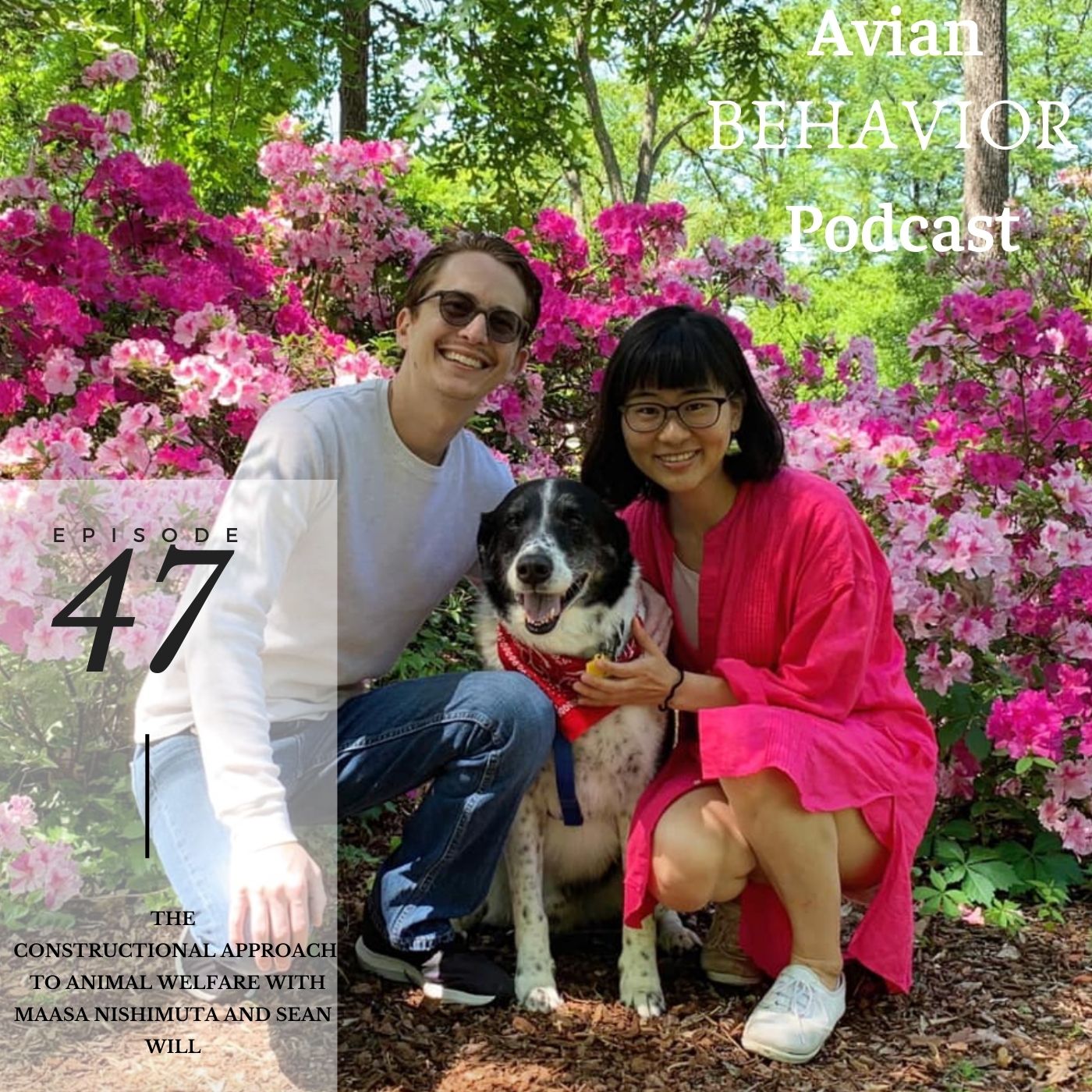 The Avian Behavior Podcast