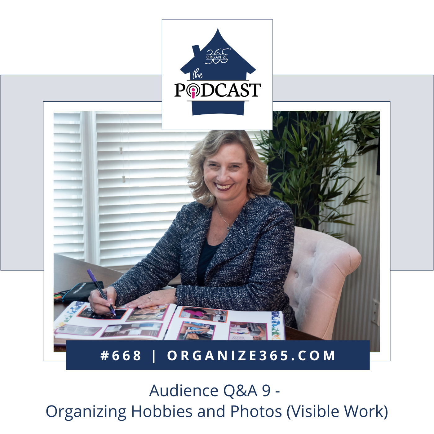 668 -Audience Q&A 9 Organizing Hobbies & Photos (Visible Work)